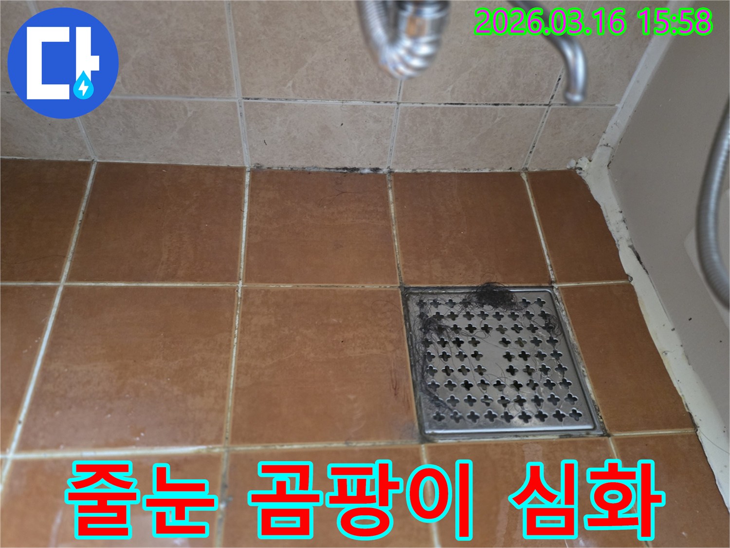 욕실 바닥 타일 줄눈에-생긴 검은 곰팡이와-오염이-누수 발생의-징후임을 보여주는-현장 사진입니다