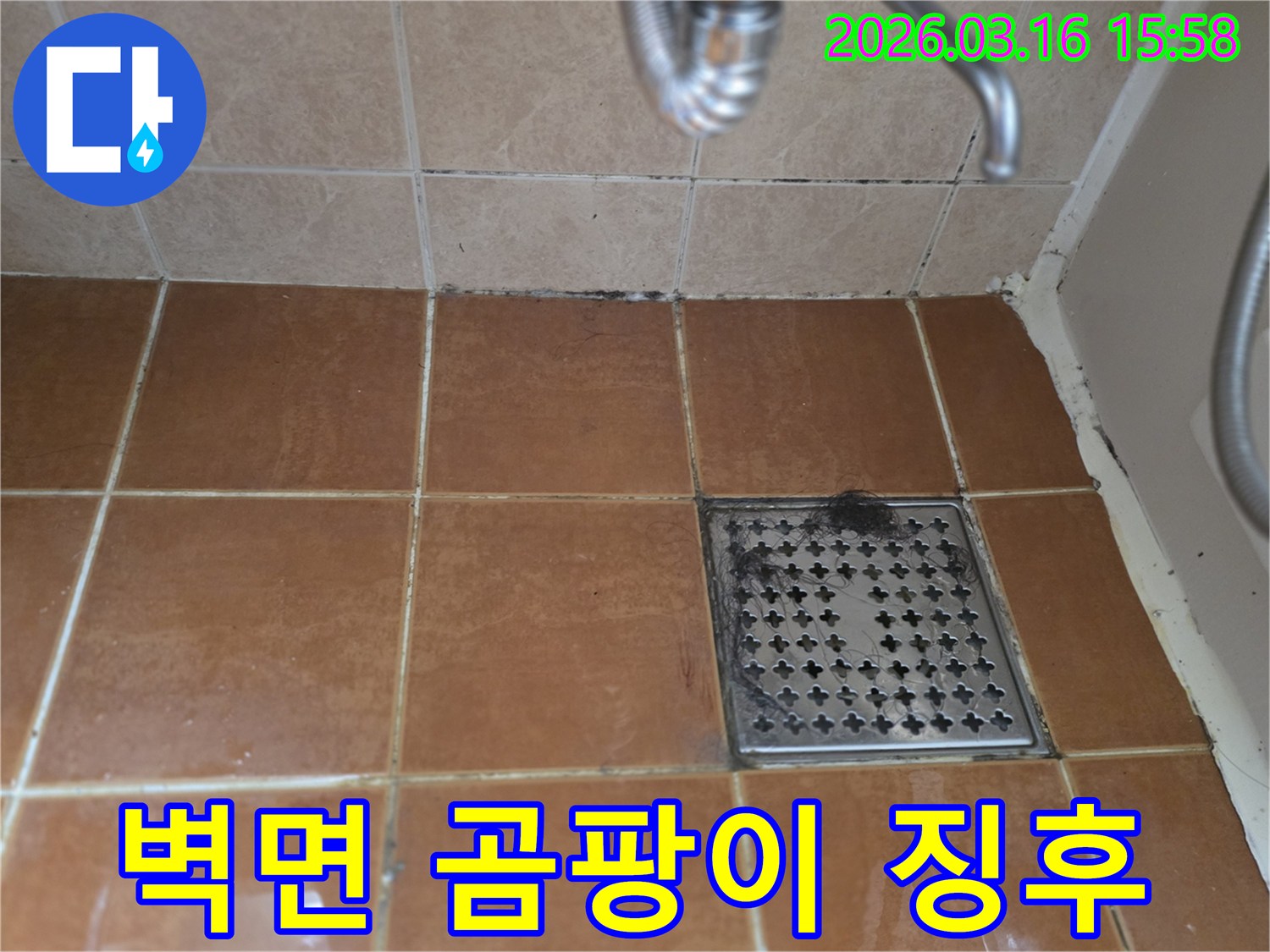 욕실 벽면 하단에-생긴 검은 곰팡이와-오염이-누수 발생의-징후임을 보여주는-현장 사진입니다
