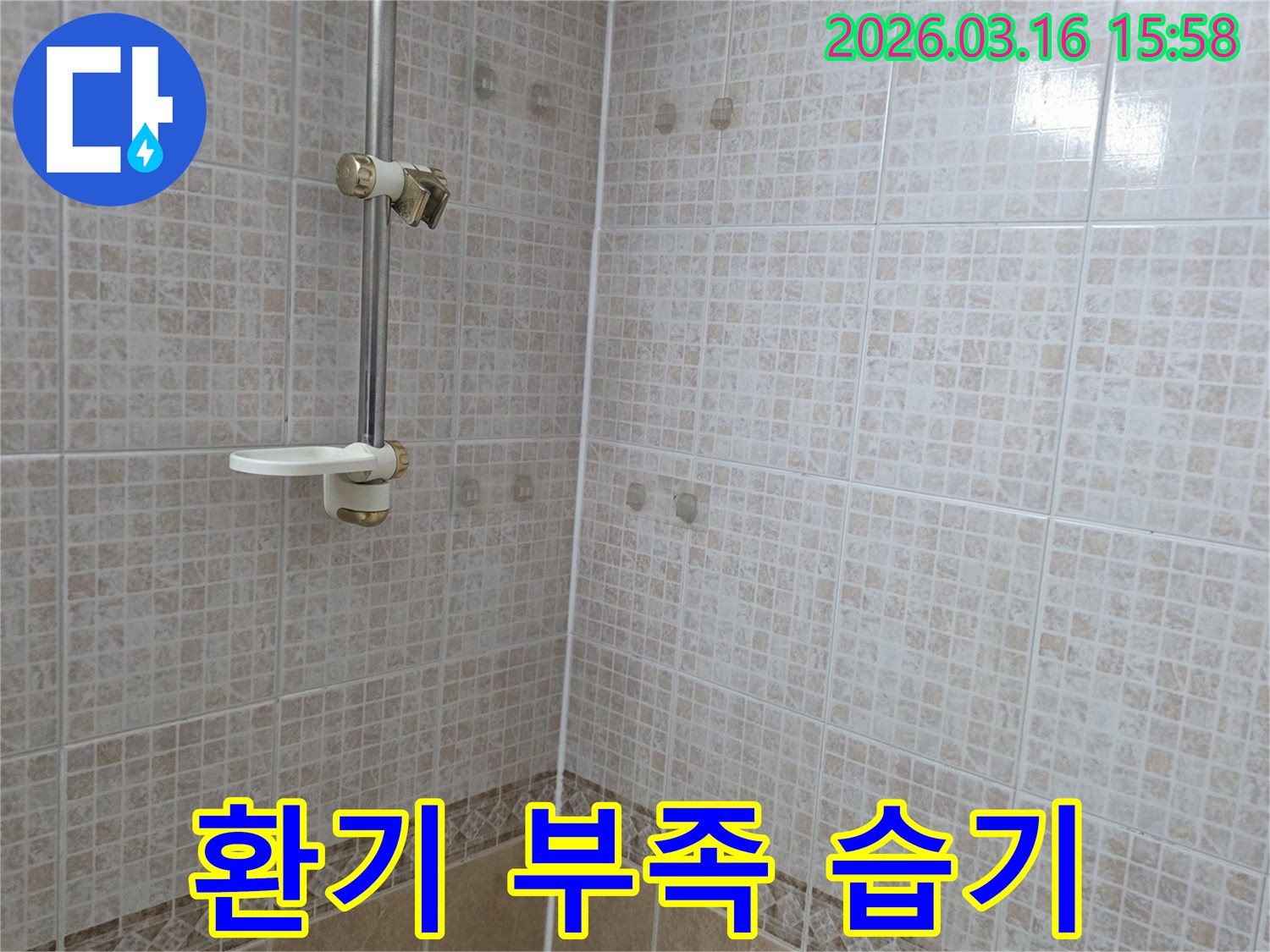 욕실 천장 타일에 물이 새어 생긴-얼룩과 환기 부족으로 인한-습기 문제를 누수 전문가가 진단하는 모습