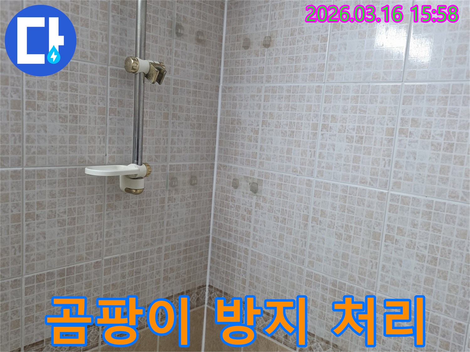 욕실 천장 타일에 물이 새어 생긴-얼룩을 해결하며 곰팡이 재발을 막기 위한-방지 처리와 항균 마감을 시공하는 모습