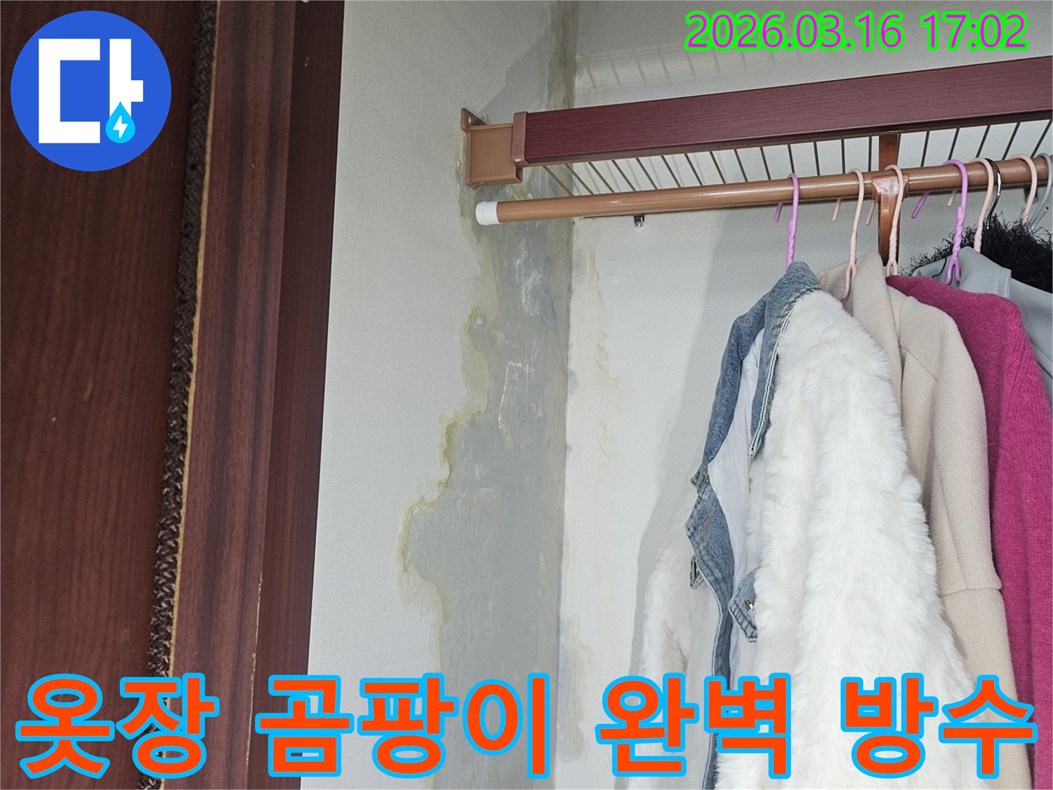 누수로 인해 옷장 벽면과 바닥에 물기가 스며들고-누렇게 변색된 곰팡이가 넓게 퍼져 있는 모습