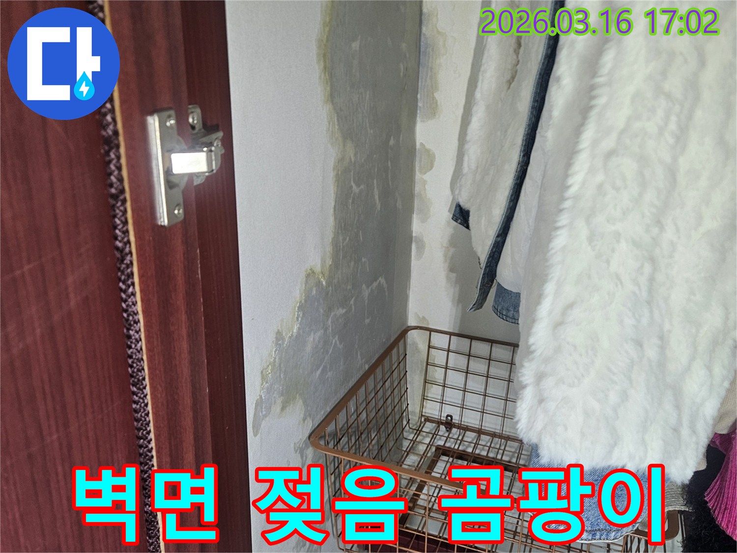 벽면 하단에- 물이 스며들어- 젖은 흔적과- 곰팡이가 발생한- 누수 현장