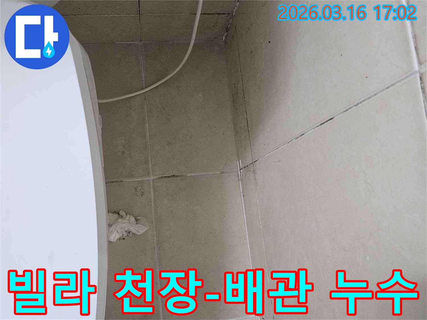 빌라 화장실 천장과 벽면 타일에 검은 곰팡이가 심하게 번져있으며-천장 일부가 손상되어 내부 배관 누수가 의심되는 현장입니다