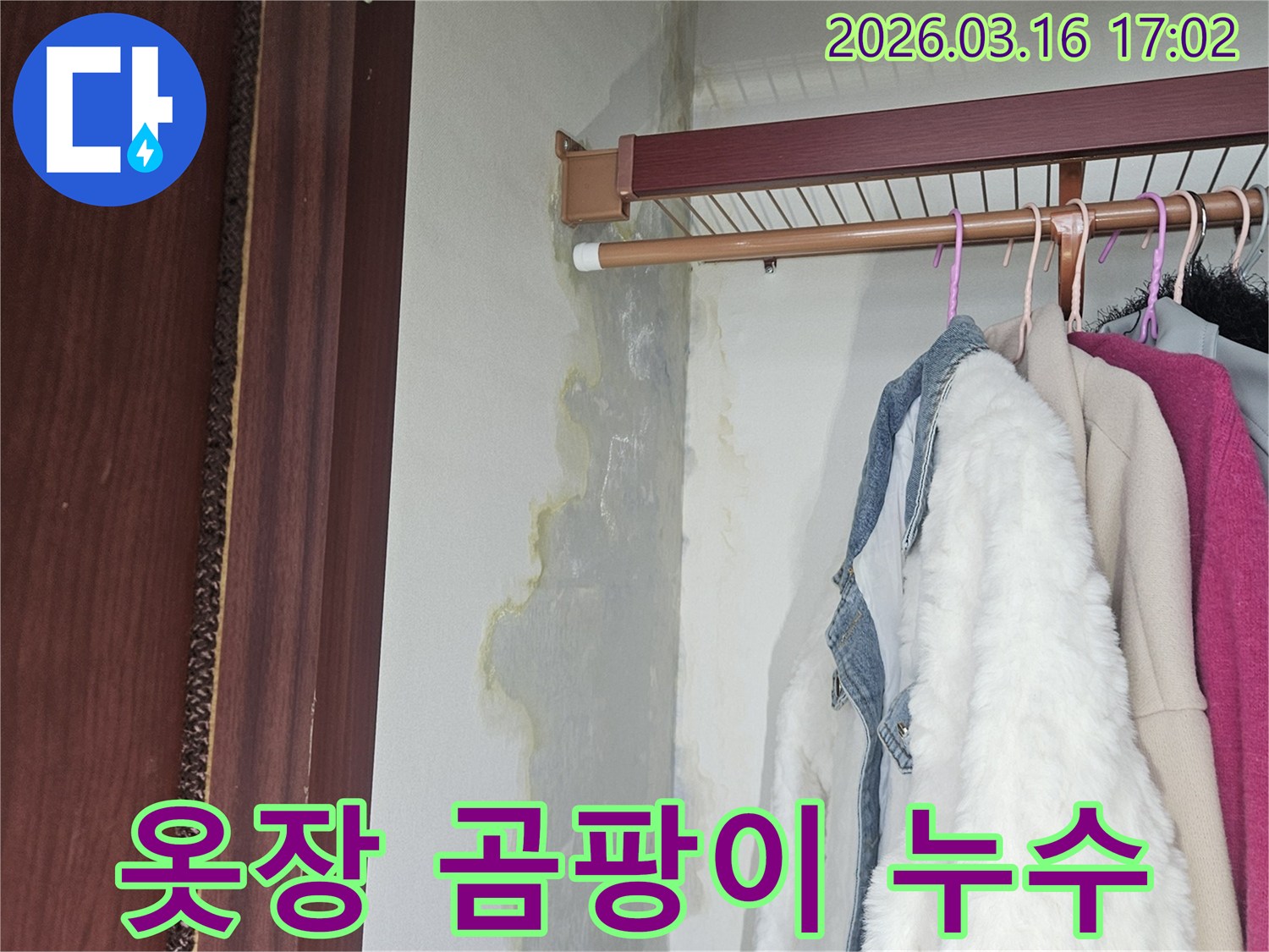 옷장 내부 벽면 하단에-누수로 인한-광범위한 곰팡이와-물자국이-선명하게 보입니다