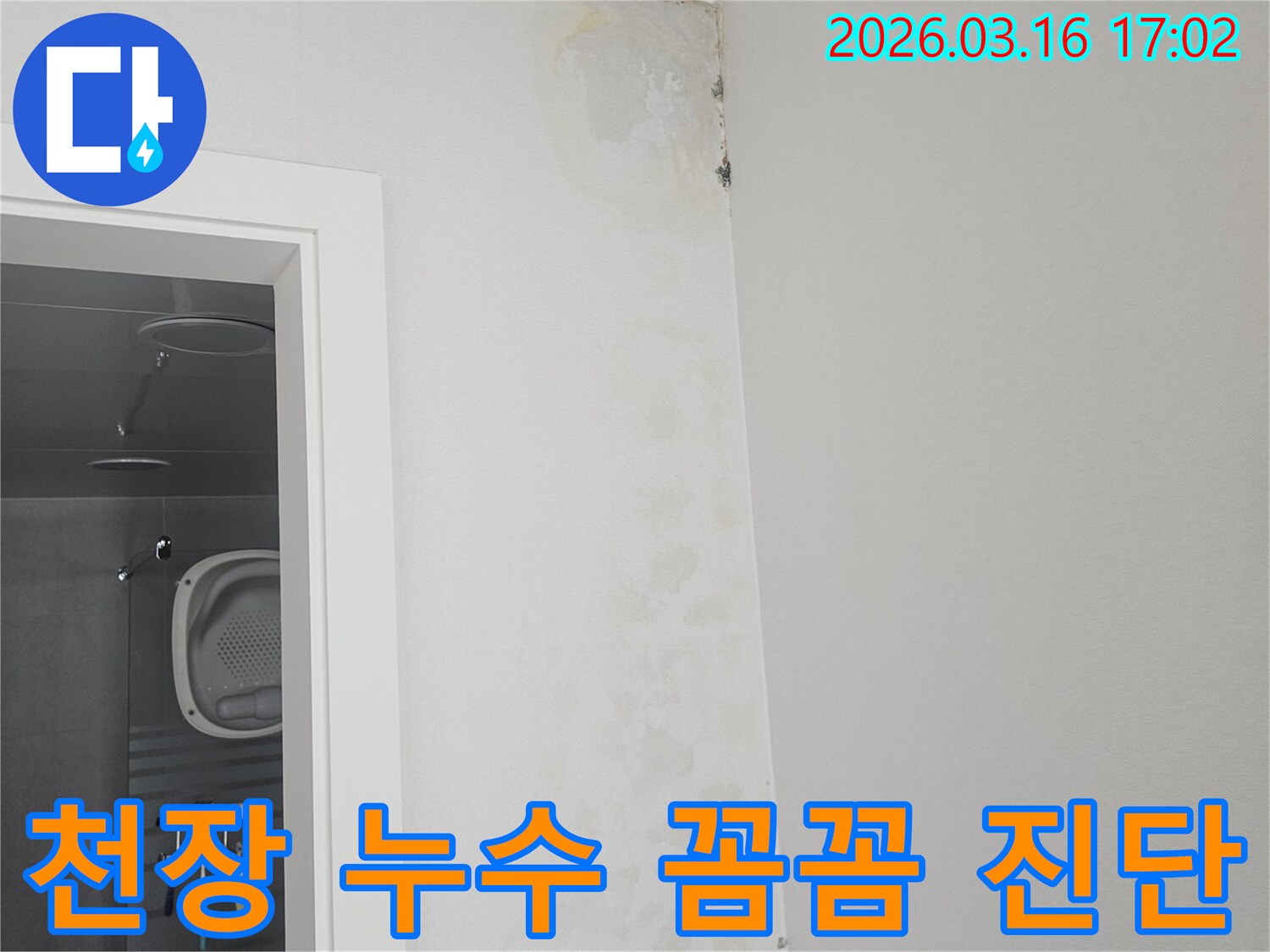 욕실 천장 모서리에 발생한 누수-얼룩과 곰팡이를 꼼꼼하게 진단하는 현장 사진입니다