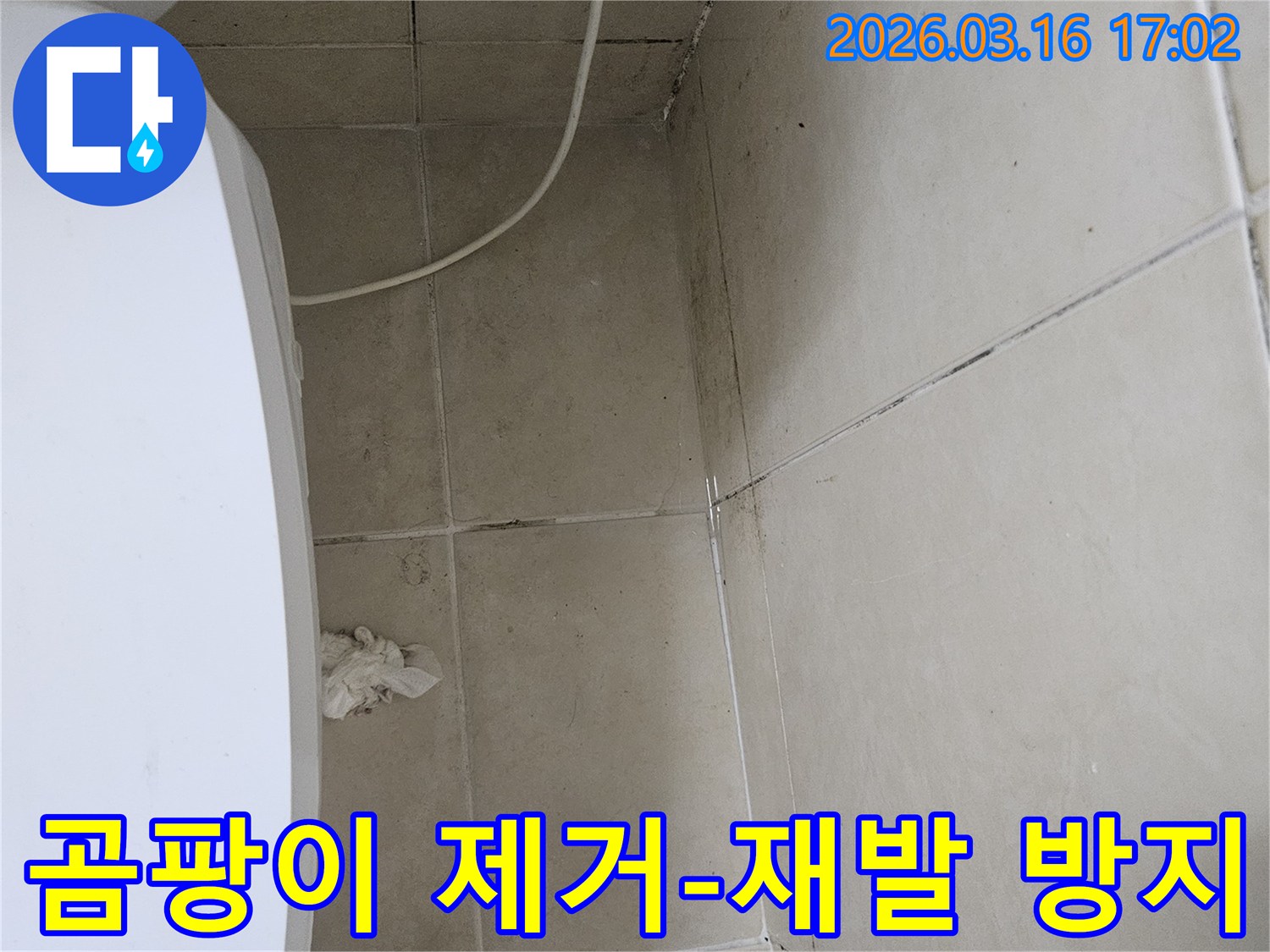 천장과 벽면 타일에 검은 곰팡이가 넓게 퍼져있으며-이는 누수로 인한 습기 축적의 명확한 증거입니다