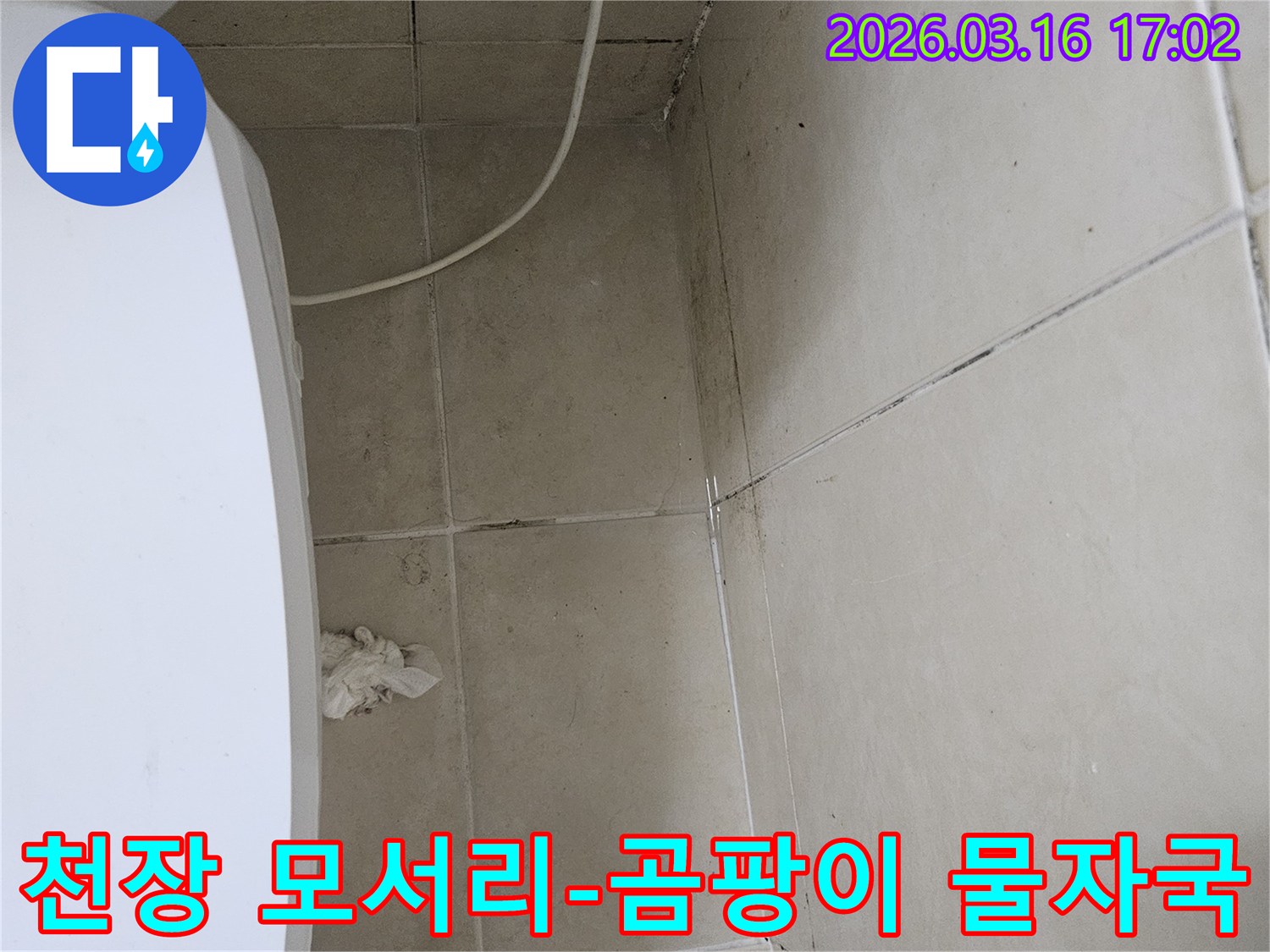 천장과 벽면 타일의 모서리에 검은 곰팡이가 광범위하게 번져있으며-오랜 누수로 인한 물자국이 선명하게 보입니다