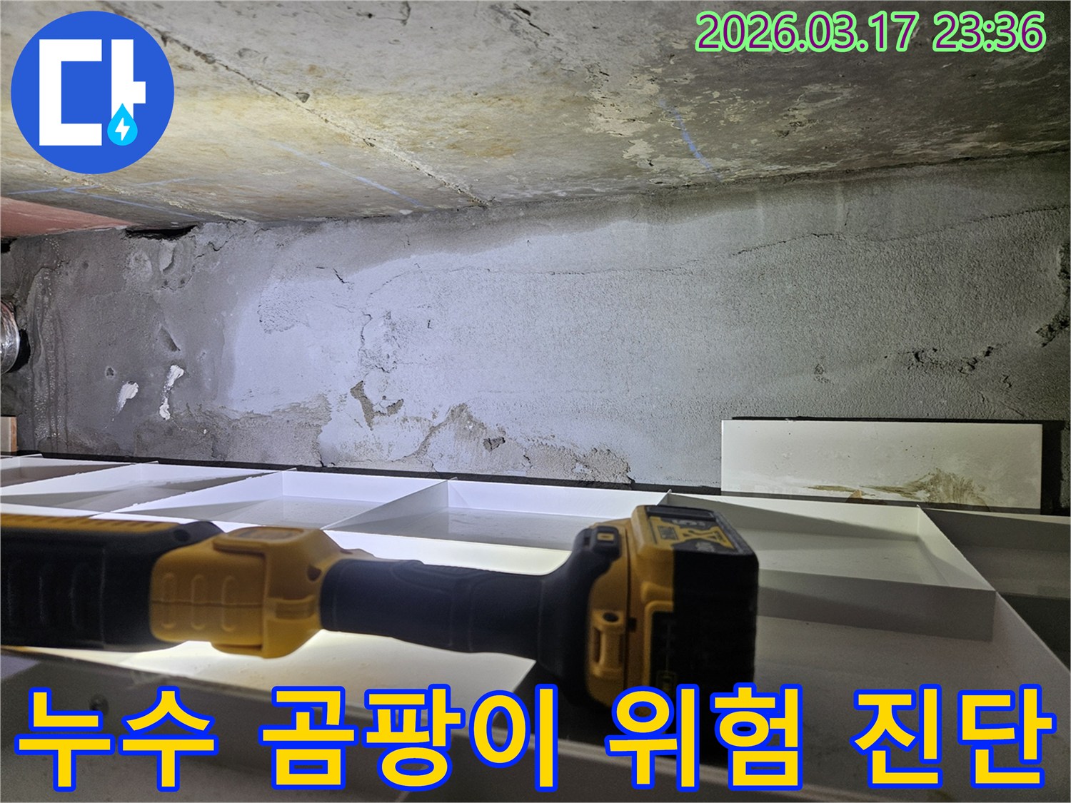 누수 전문 엔지니어가-천장 누수로 인한-곰팡이 발생 위험을-정밀하게 진단하고 있습니다.