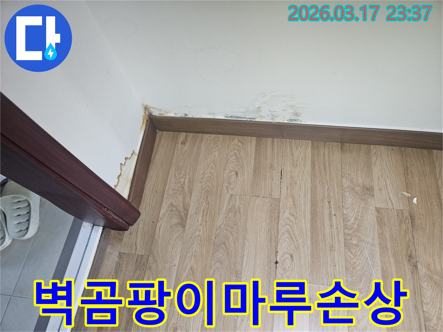 누수로 인해-벽면에-곰팡이와-마루 손상이-발생한-현장-사진입니다