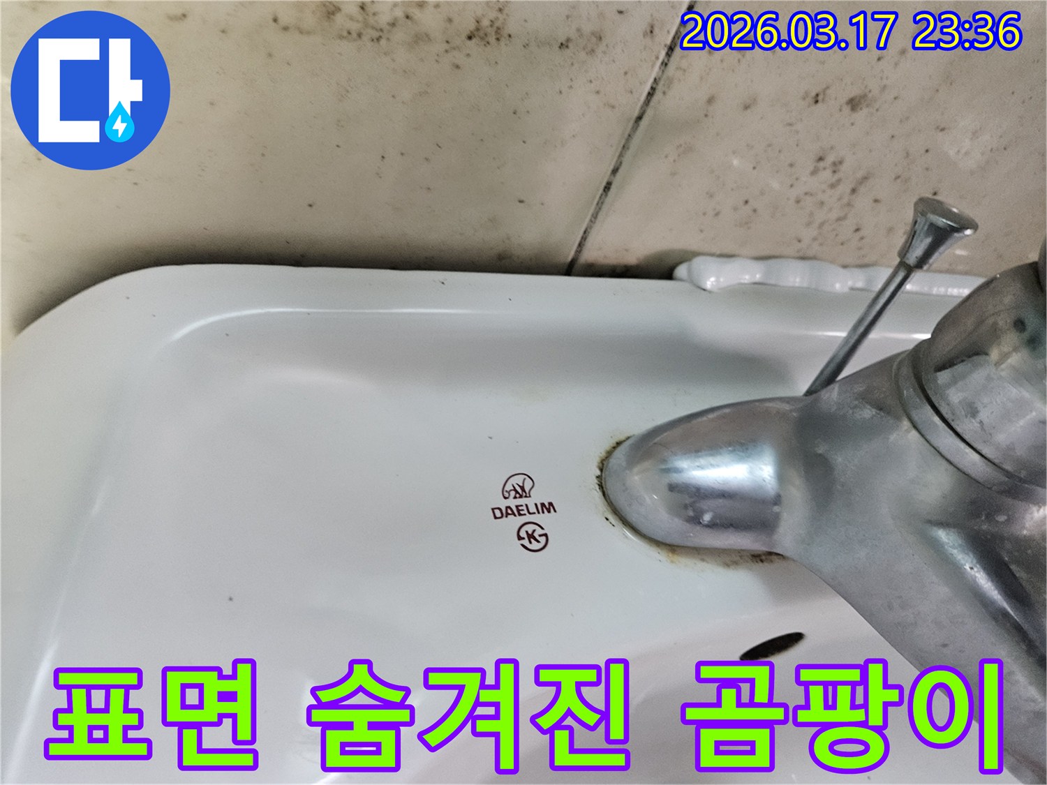 세면대 뒤편 벽에- 심각하게 번식한 곰팡이가- 표면 곰팡이뿐만 아니라- 숨겨진 곰팡이의- 가능성까지 시사합니다