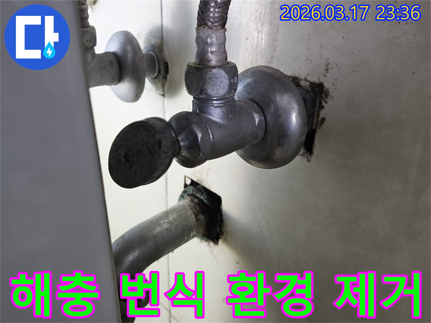 싱크대 하부의 누수로 인해-습하고 지저분해진 환경에서-해충 번식 우려가 있는-현장입니다.