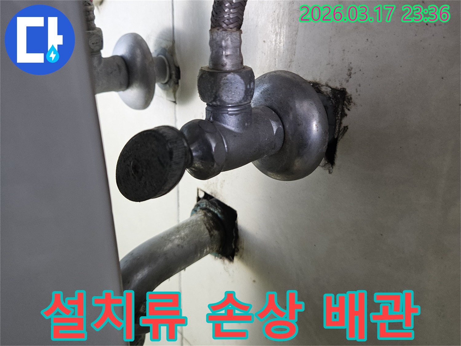 싱크대 하부의 배관이-설치류에 의해 갉아 먹혀-물이 새는 현장입니다.