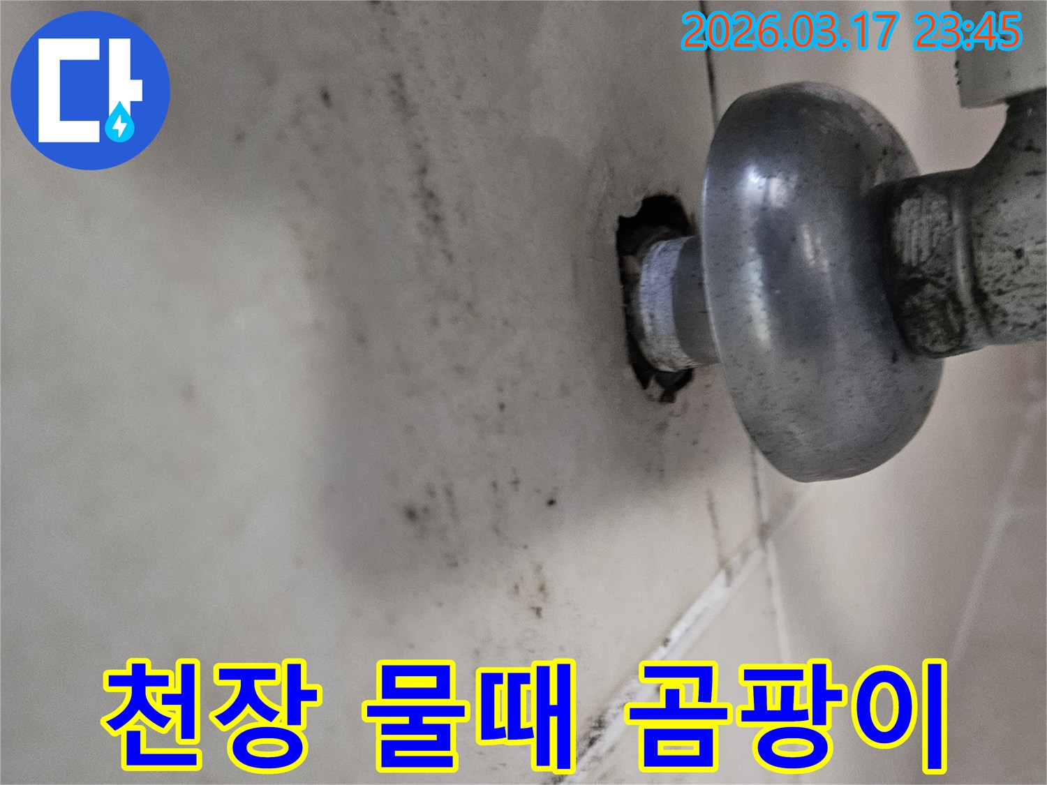 오랜 시간 지속된 누수로 인해-천장 마감재가 손상되고 곰팡이가 번식했습니다