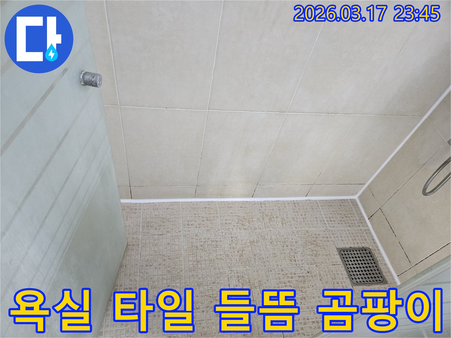 욕실 벽면과 바닥 타일의 이음새-줄눈에 발생한 검은 곰팡이와-오염 상태를 자세히 보여주는 사진입니다