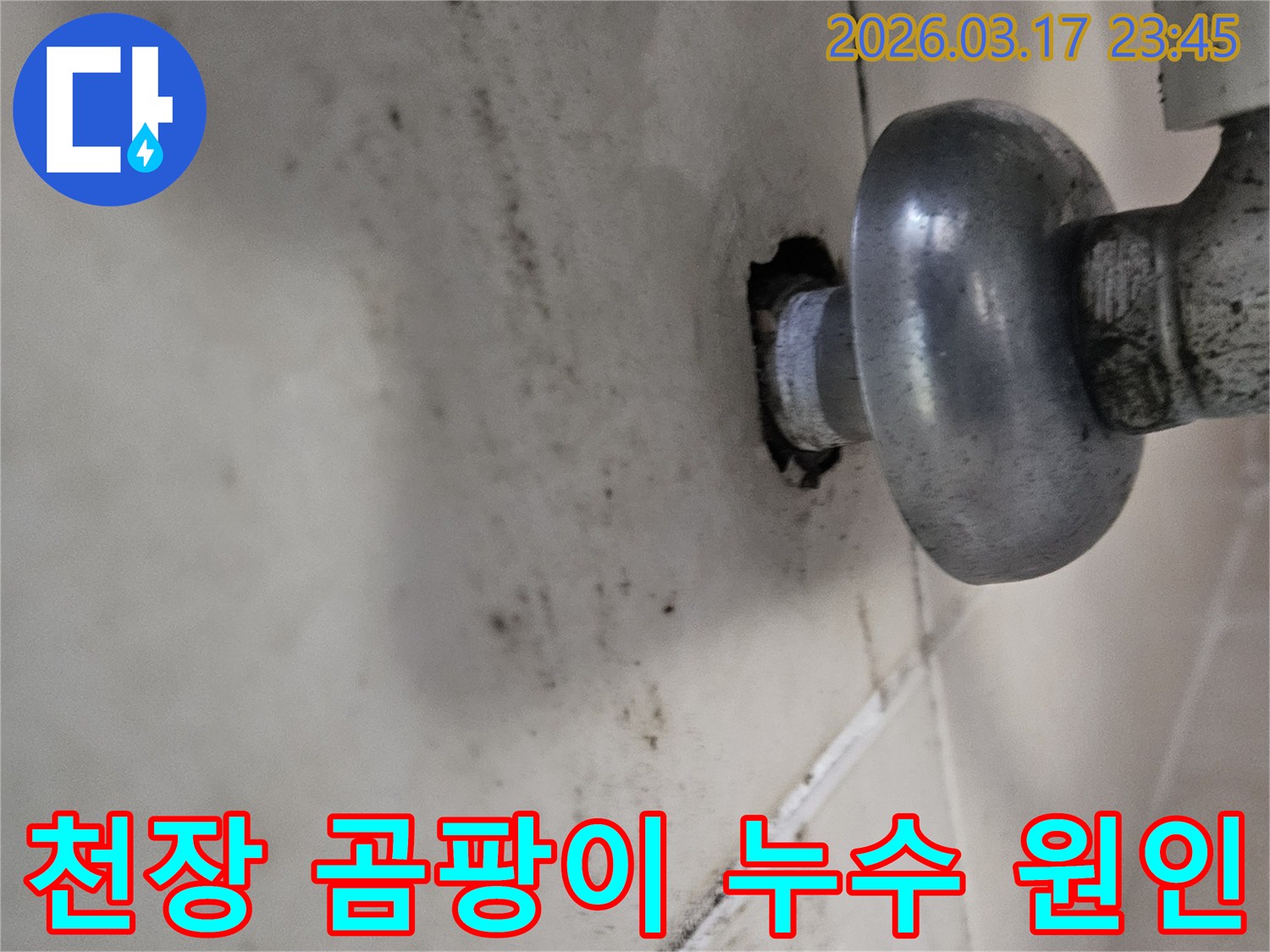 이 사진은 천장 배관 주변의 누수로 인해-곰팡이와 물때가 심하게 생긴 모습을 보여줍니다