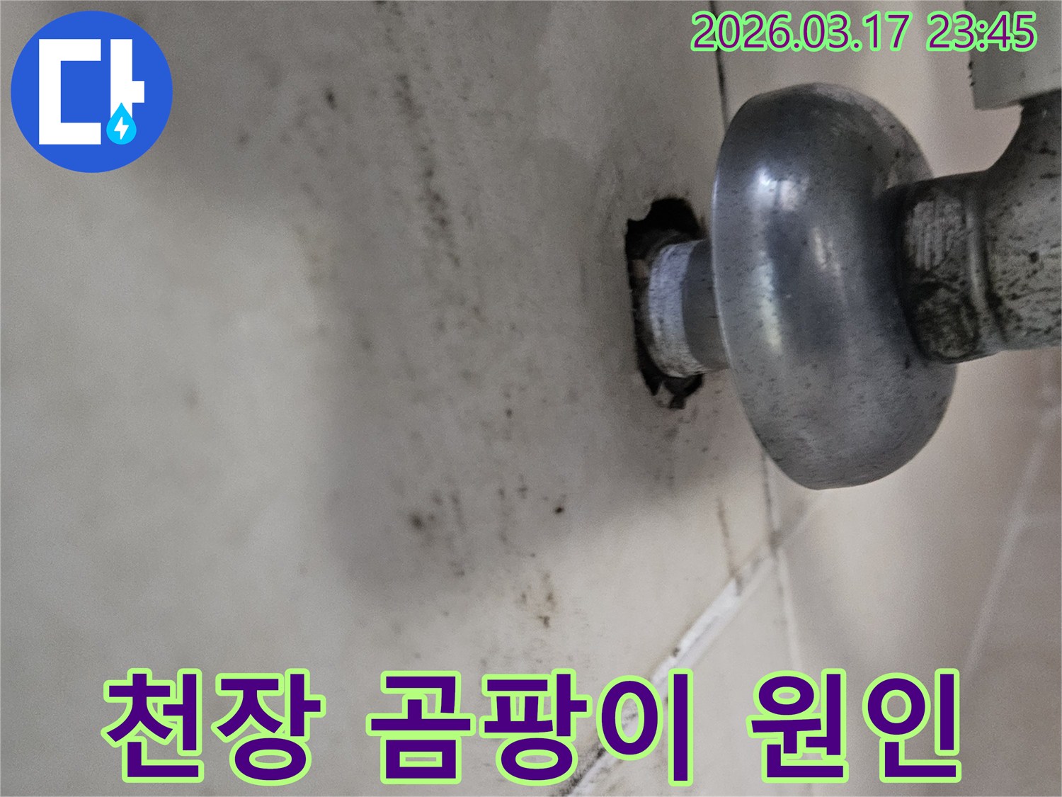 이 사진은 천장 배관 주변의 누수로 인해-곰팡이와 물때가 심하게 생긴 모습을 보여줍니다