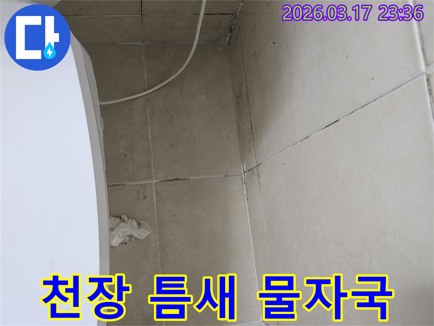 이-사진은-천장-타일의-틈새와-모서리에-발생한-물자국과-검은-곰팡이를-보여주며-이는-누수로-인한-지속적인-습기-침투를-의미합니다