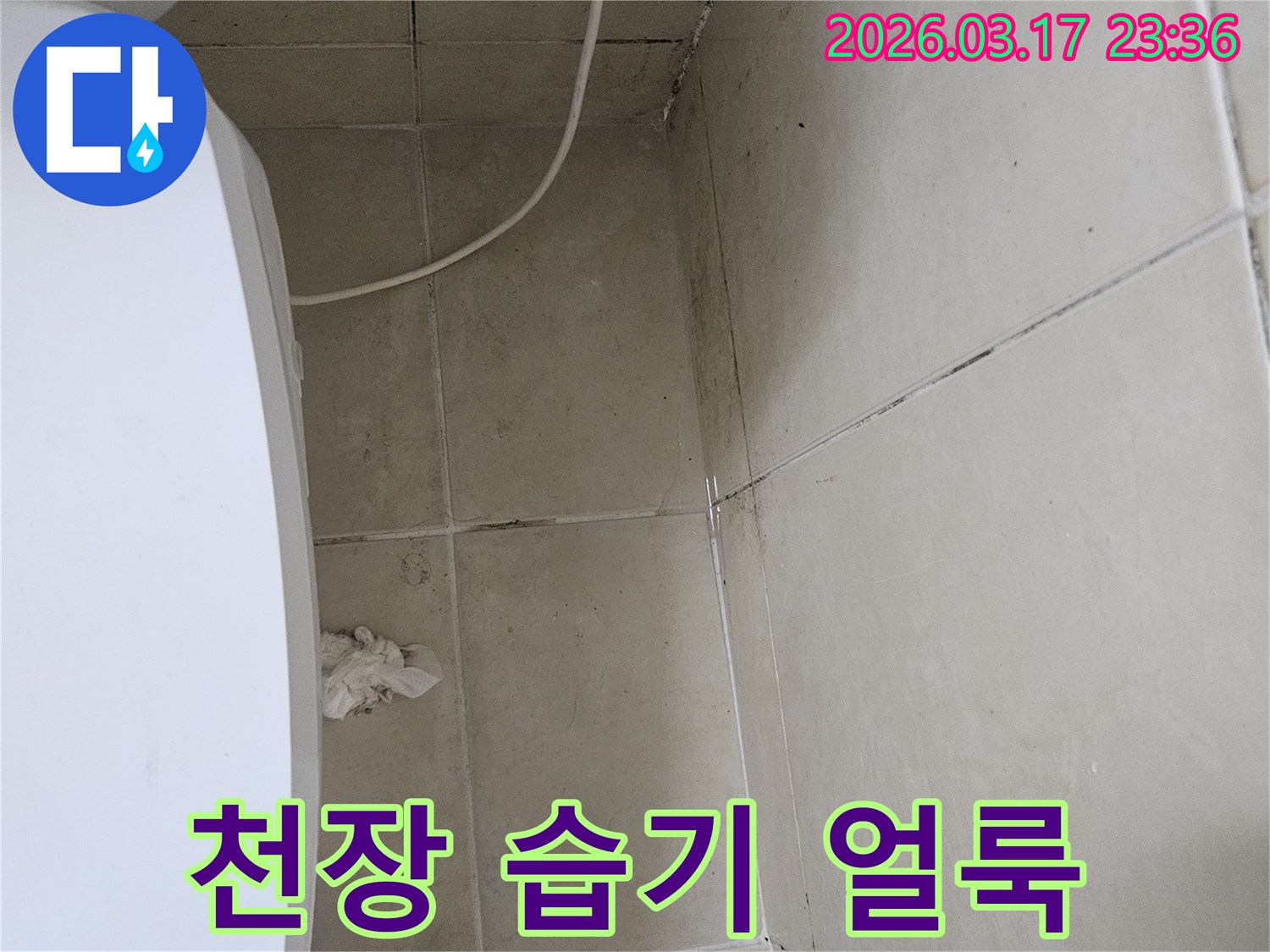 이 이미지는-천장-타일과-벽면-모서리에-발생한-습기-얼룩과-곰팡이를-보여주며-이는-누수로-인한-지속적인-습기-침투가-원인임을-시사합니다