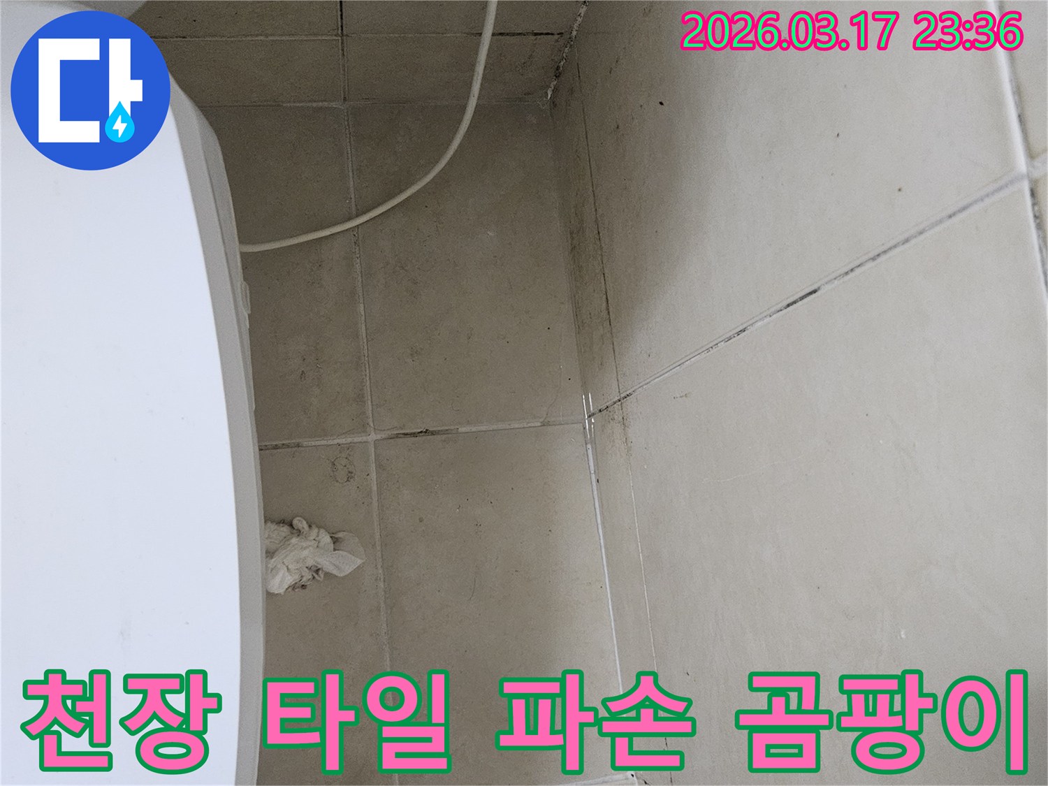이-이미지는-천장-타일의-심각한-파손과-주변-벽면에-번진-검은-곰팡이를-보여주며-이는-장기적인-누수로-인한-피해를-나타냅니다