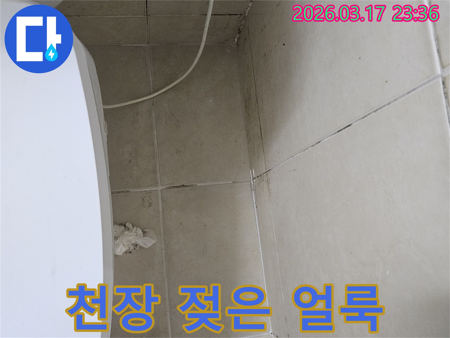 이-이미지는-천장-타일의-젖은-얼룩과-주변에-번진-검은-곰팡이를-보여주며-이는-배관-누수로-인한-지속적인-물샘-현상을-의미합니다