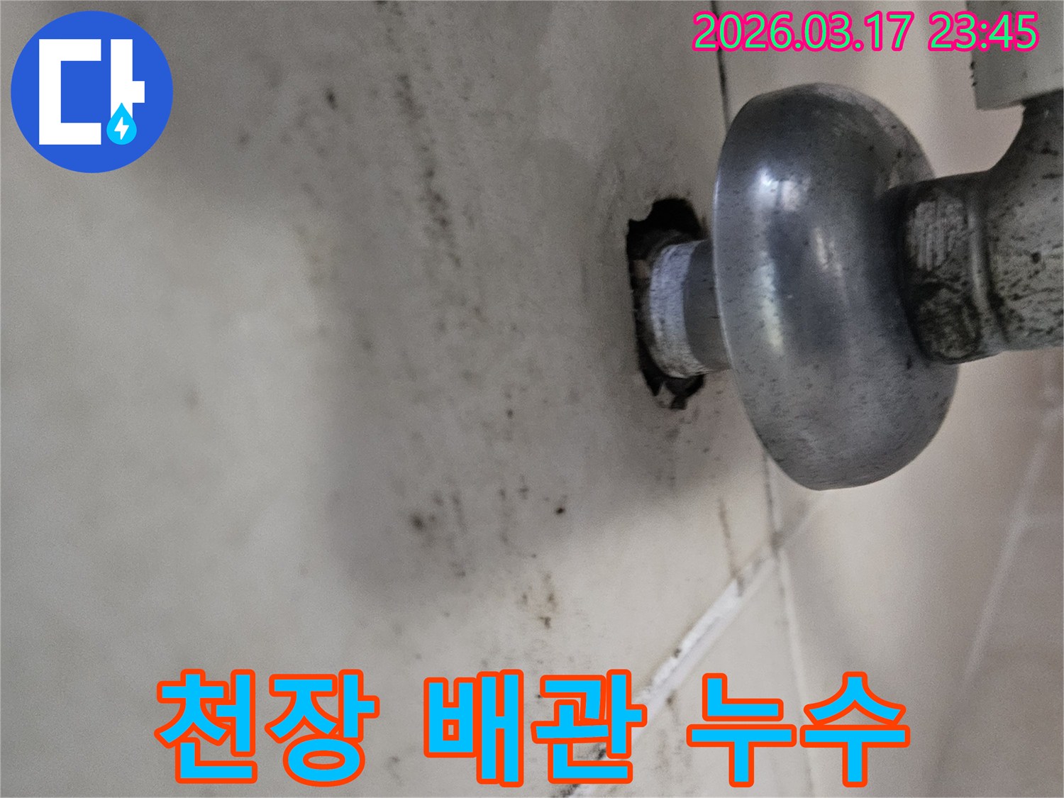 천장 배관 연결부에서 물이 새어-곰팡이와 물때가 심하게 발생한 모습입니다