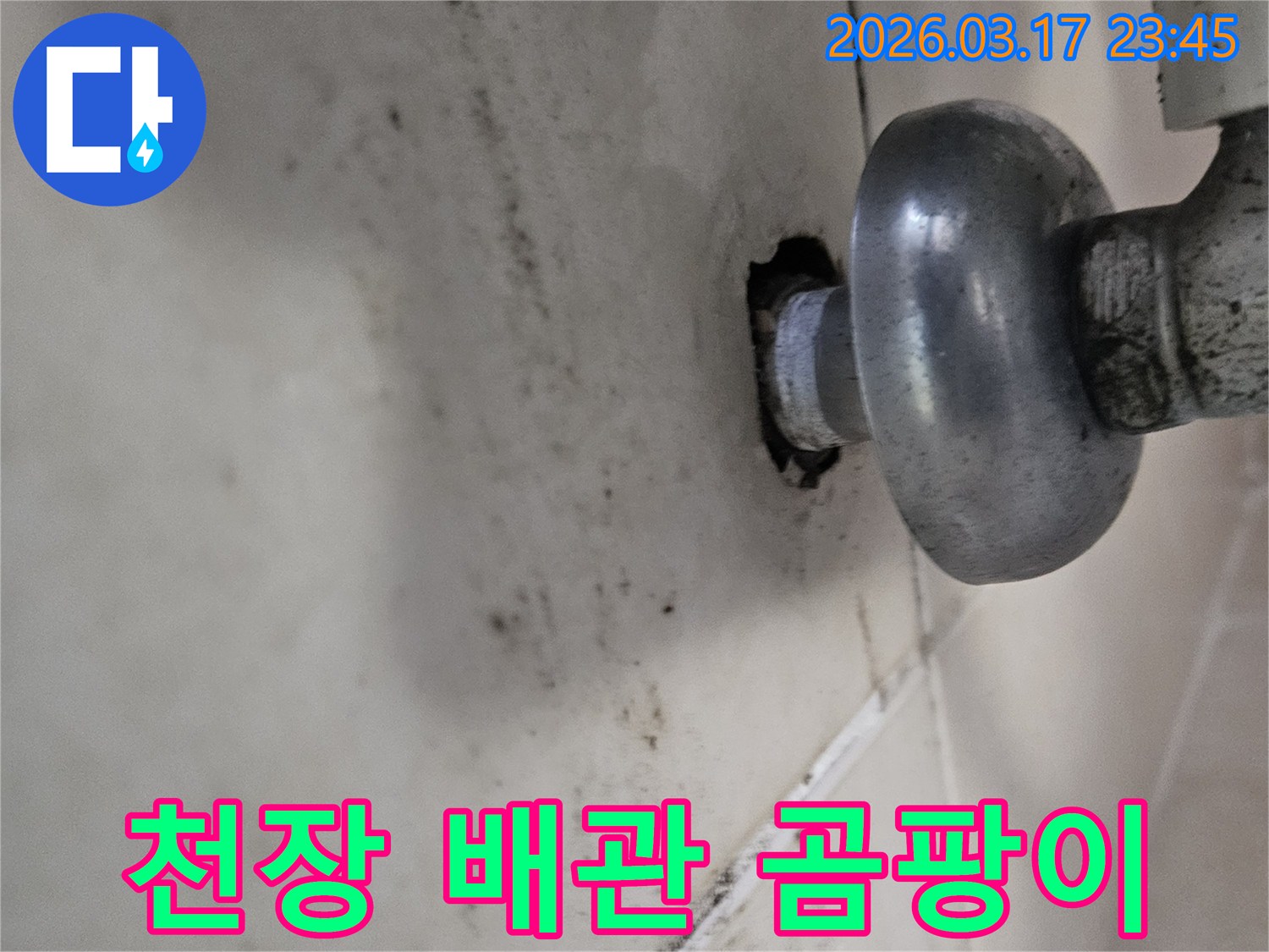 천장 배관 주변에 오래된 누수로 인해-심각하게 번진 곰팡이와 물때가 보입니다