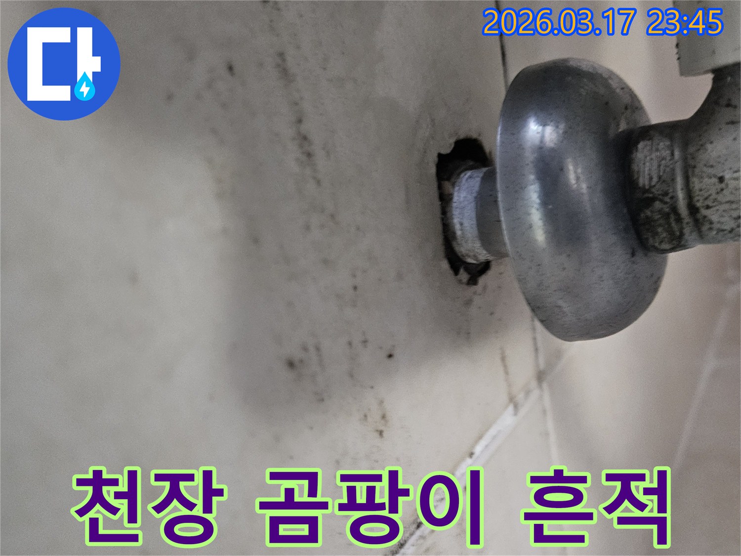 천장 배관 주변에 오래된 누수로 인해-심각하게 번진 곰팡이와 물때가 보입니다