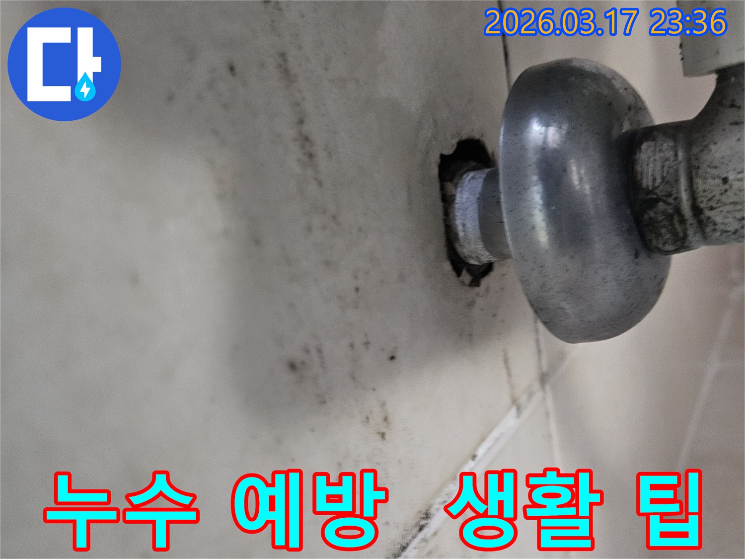 천장-배관에서-발생한-누수로-인해-오염된-벽면과-누수-재발을-방지하기-위한-생활-속-예방-팁을-제공하는-모습
