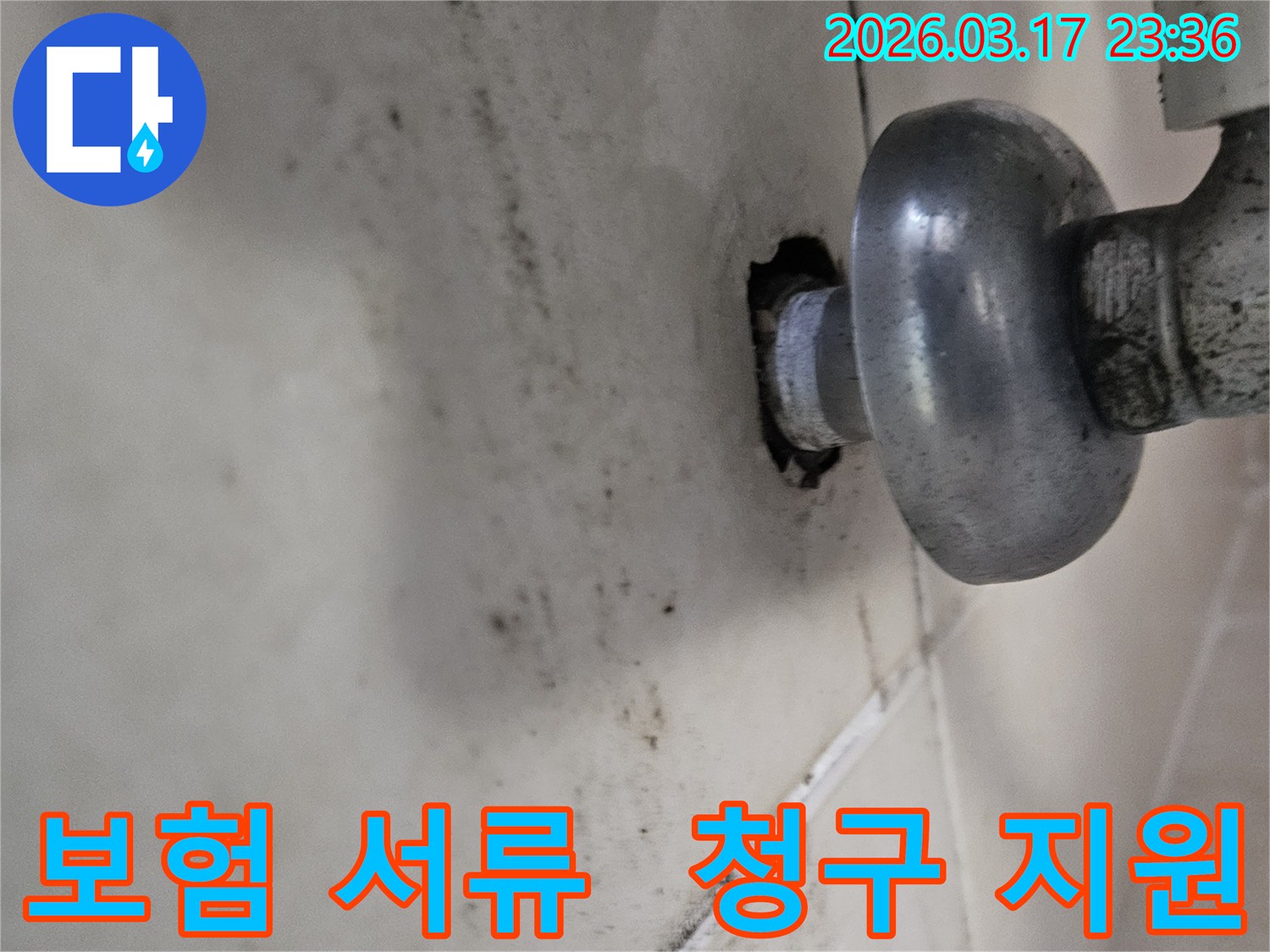천장-배관에서-발생한-누수로-인해-오염된-벽면과-보험-청구를-위한-복잡한-서류-준비를-지원하는-모습
