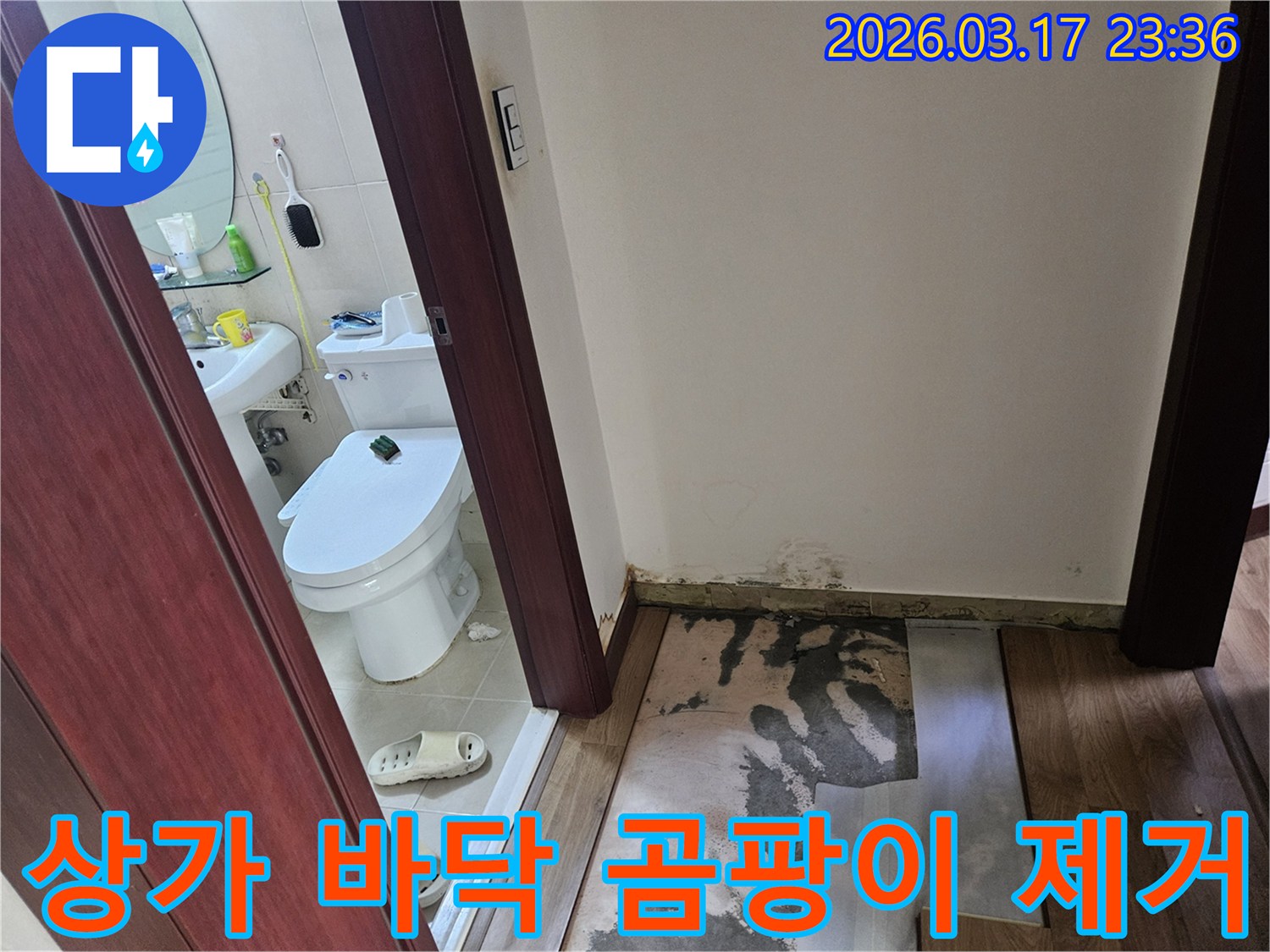 화성 병점 상가의-화장실 입구 바닥에-누수로 인한 습기와-곰팡이가 발생하여-바닥재가 제거된-현장 모습입니다
