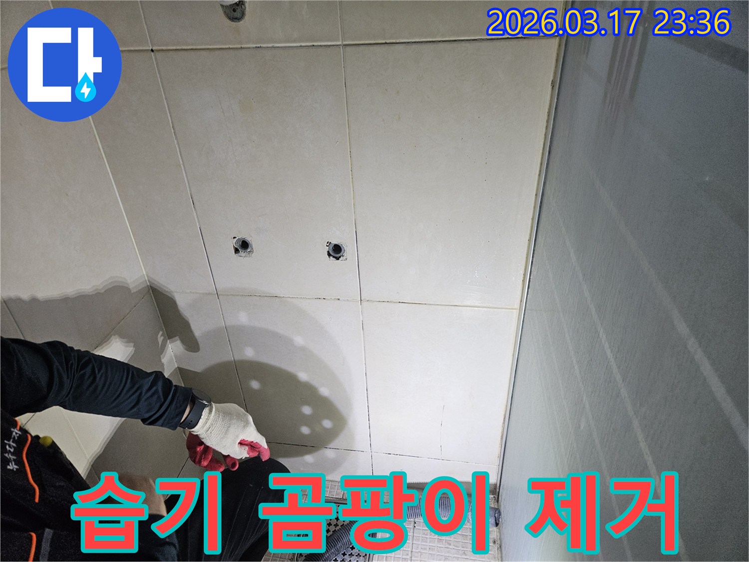 화성-병점동-샤워실에서-누수-보수-전-오래된-습기-흔적과-곰팡이를-제거하는-전문가입니다