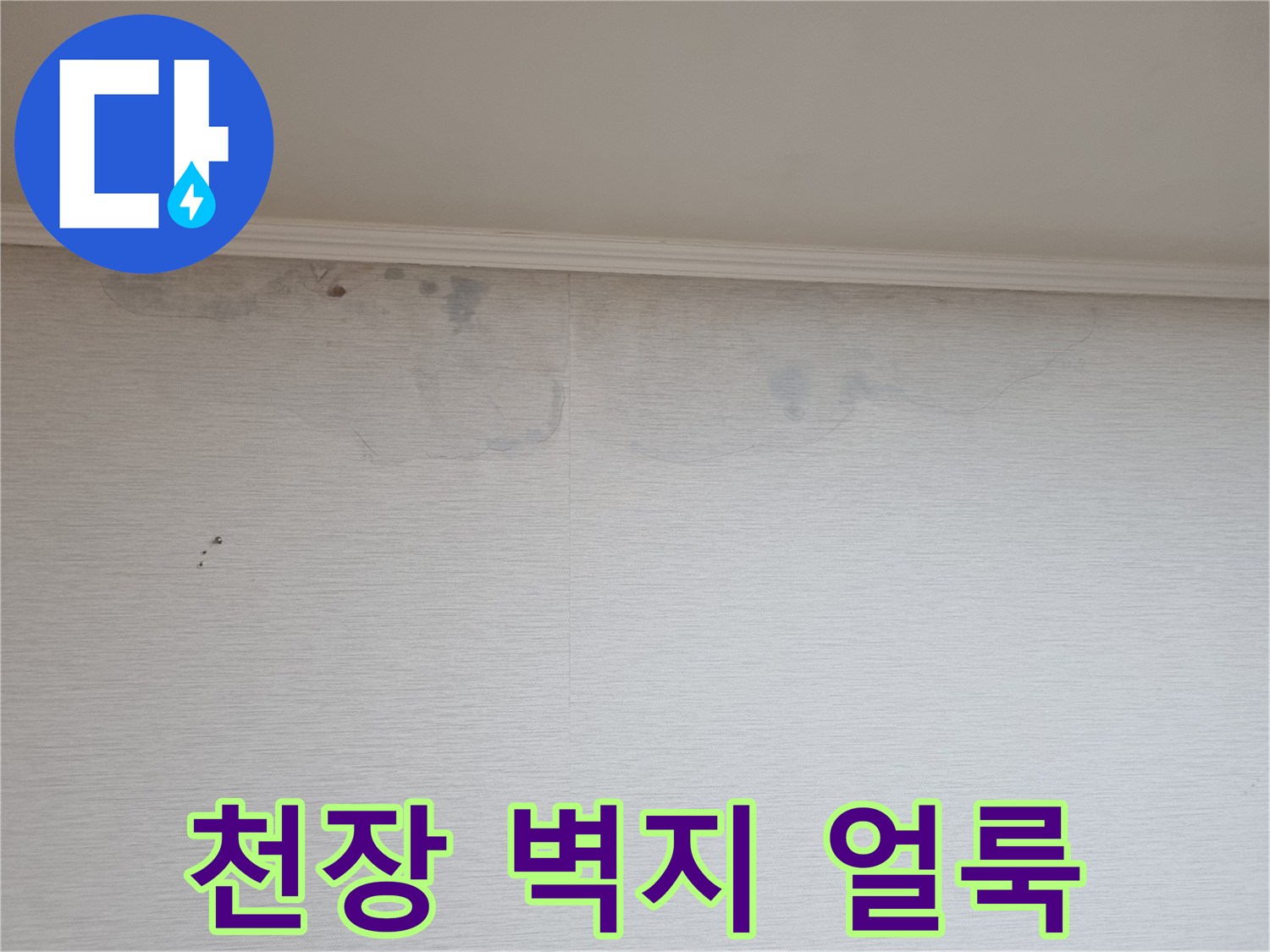 분당 정자동 아파트 천장 벽지 변색 부위 현황