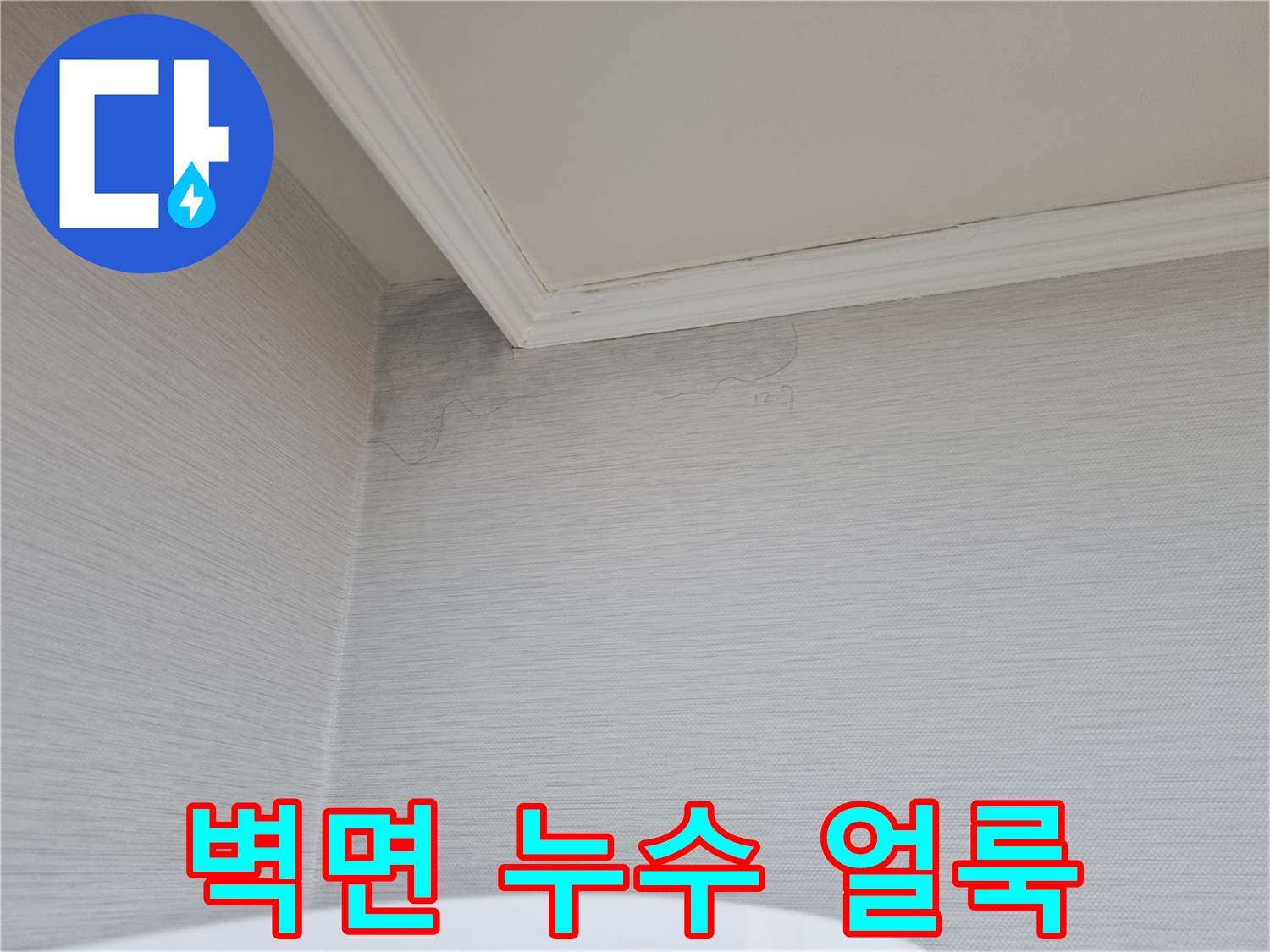 천장 몰딩 부근의 어두운 얼룩과 벽지 오염 상태를 보여주는 사진