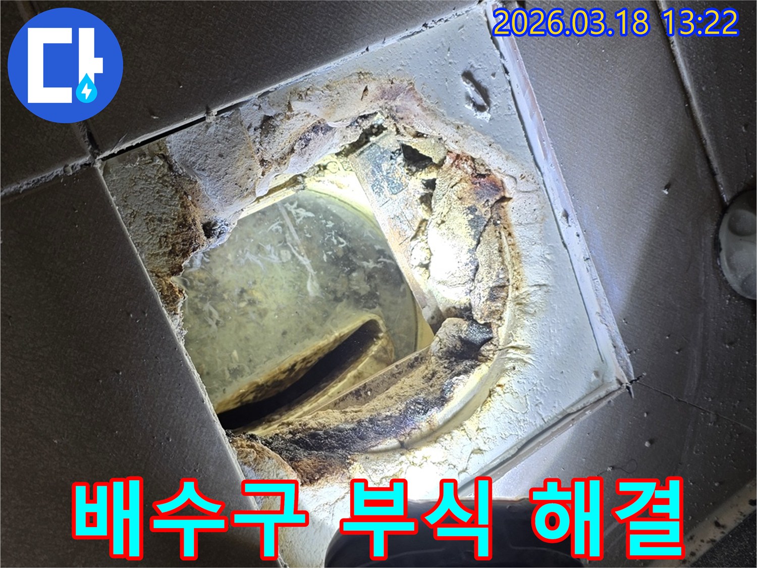 누수 공사 전문 업체가-욕실 배수구의 심한 부식 문제를-해결하기 위해 진단하는 현장