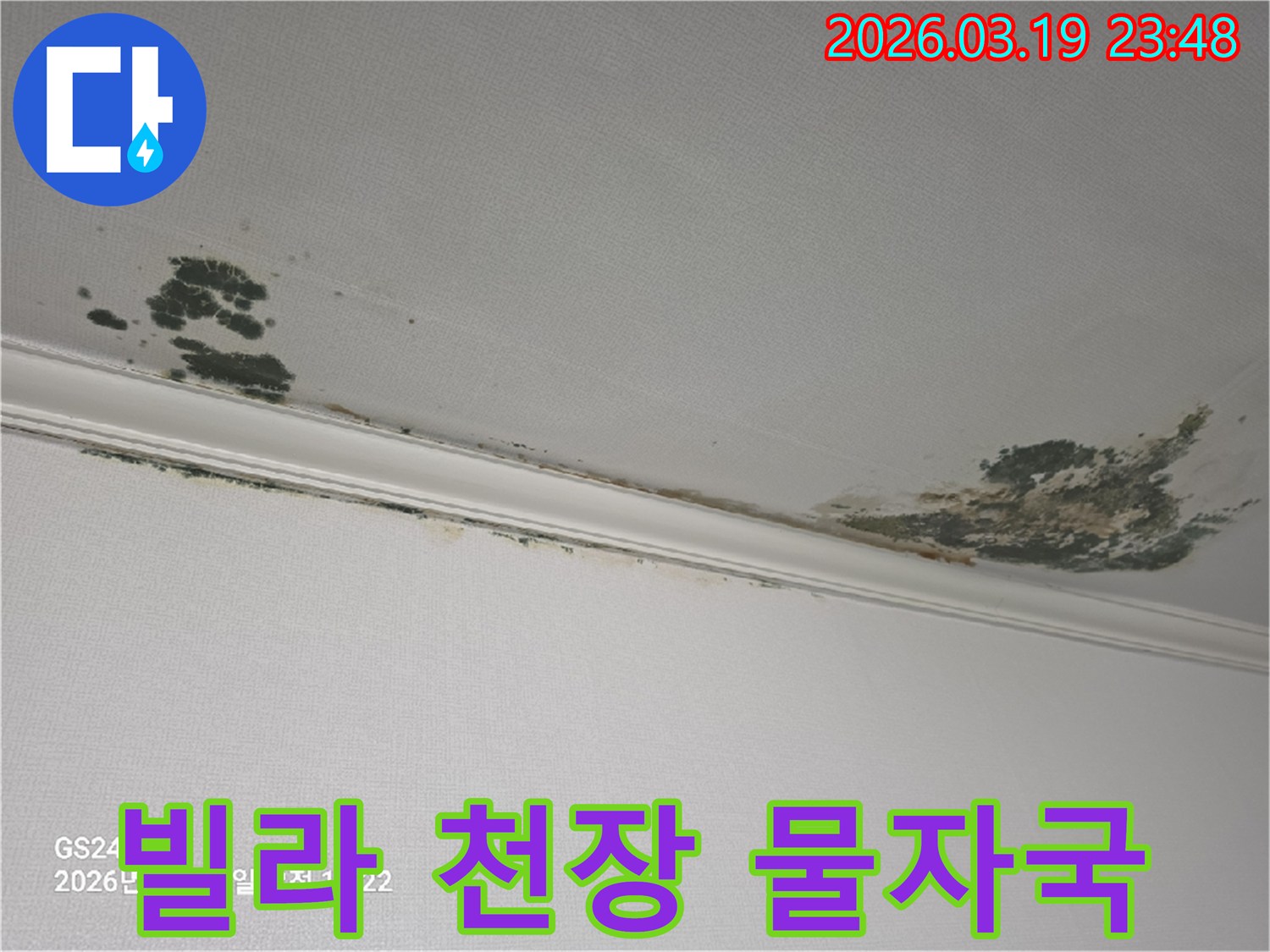 빌라-천장-누수-피해-물자국과-곰팡이-발생-모습-완벽한-탐지-공사가-필요