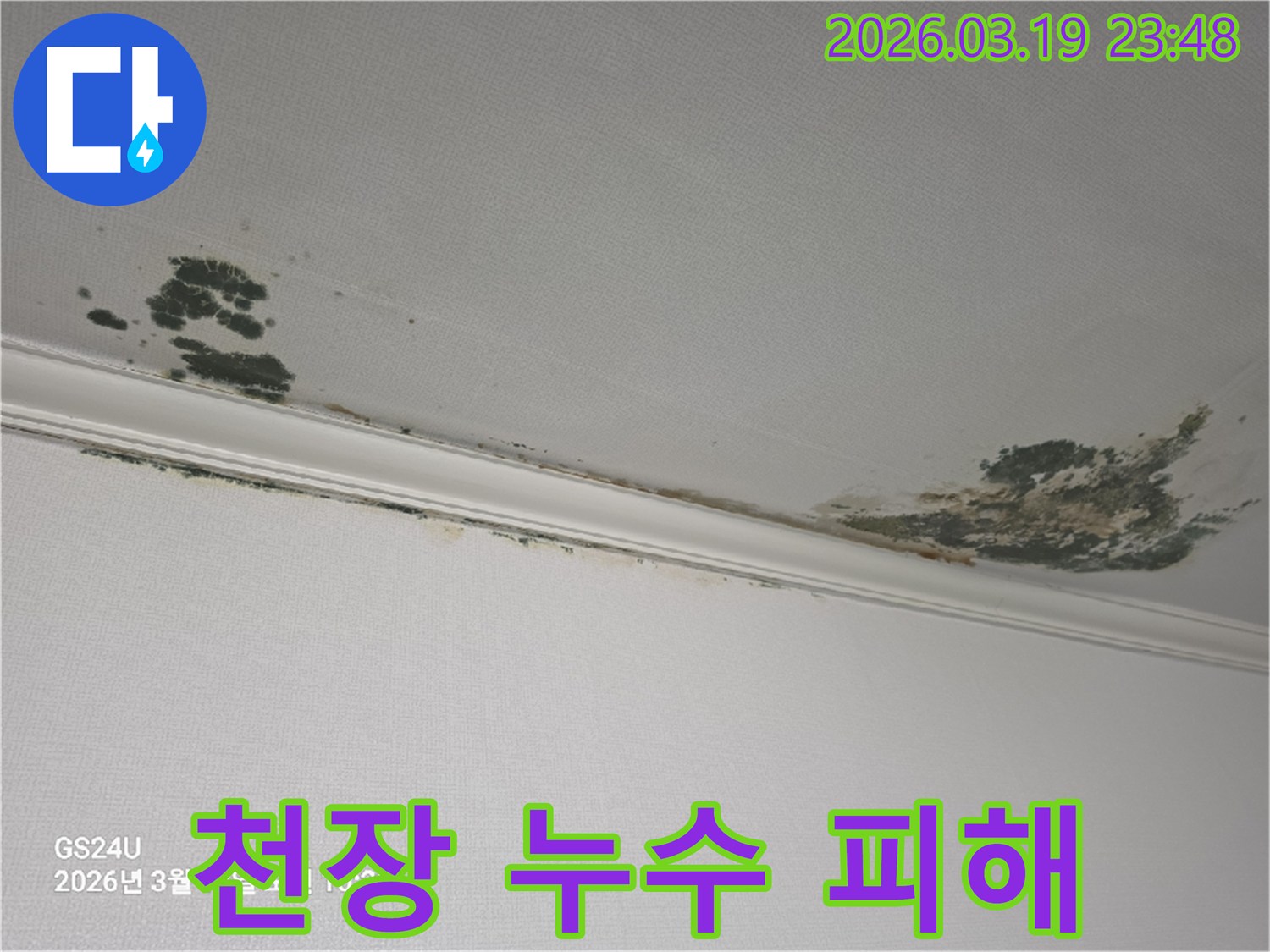 천장-누수-피해-곰팡이와-물자국-발생-모습-신속한-복구가-필요한-상황