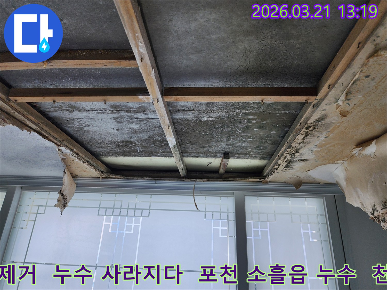 천장-마감재가-제거된-상태에서-콘크리트-슬래브와-목재-구조물에-누수로-인한-광범위한-곰팡이-오염이-확인되며-보수-전-모습입니다.