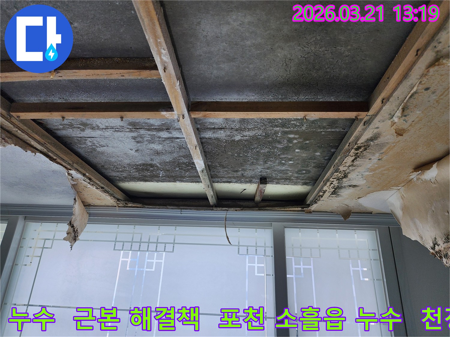 천장-마감재가-제거된-상태에서-콘크리트-천장과-목재-지지대에-누수로-인한-광범위한-곰팡이-오염이-확인됩니다.