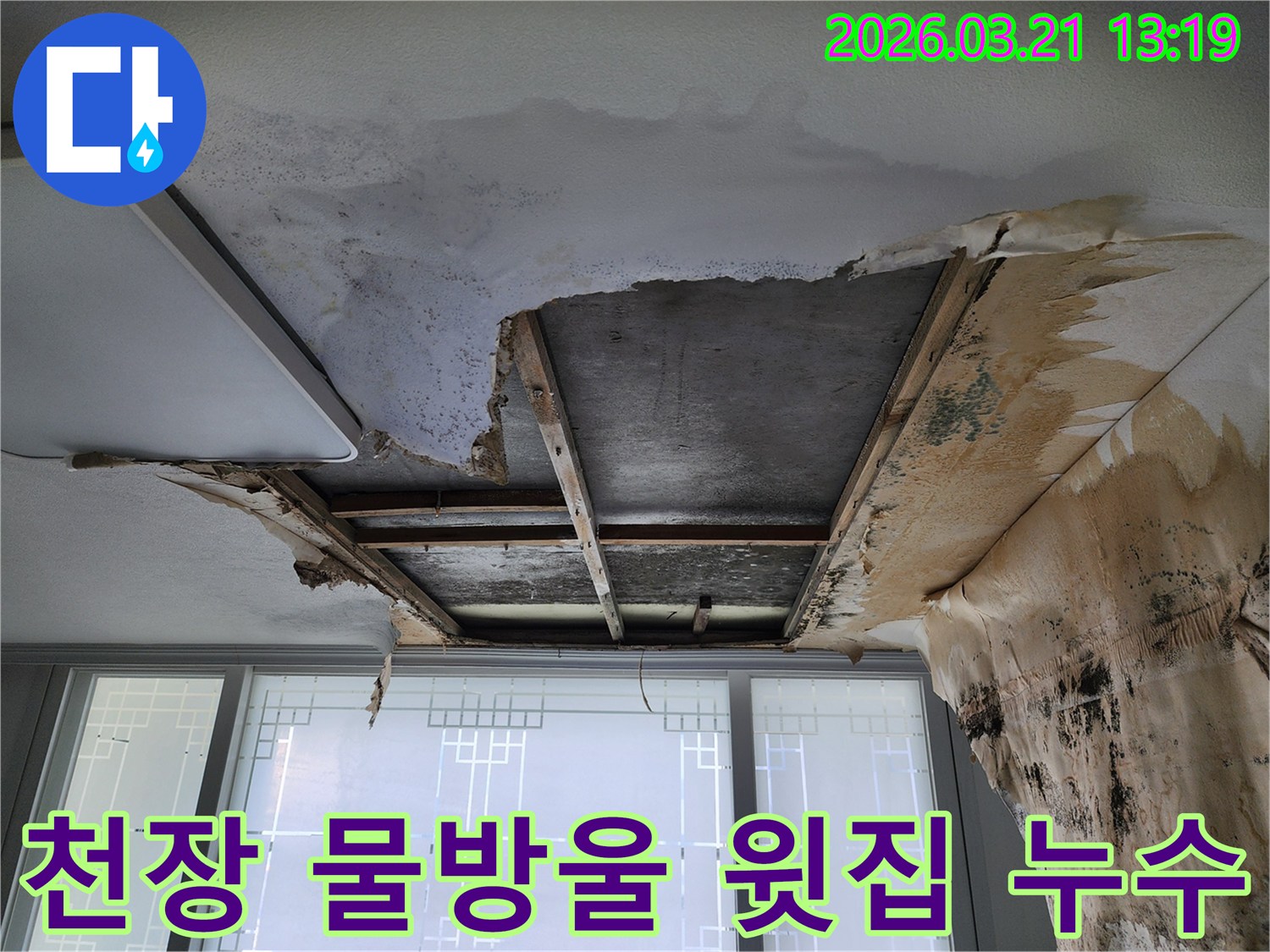 천장에서-물방울이-떨어지고-곰팡이가-생긴-윗집-누수-의심-현장