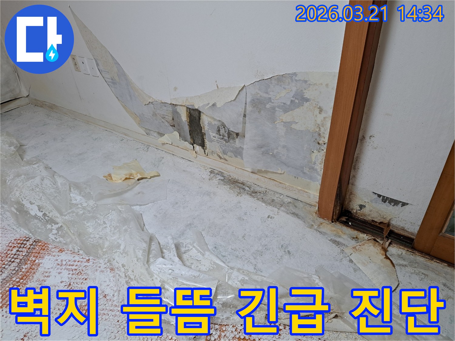 누수로-인해-벽지가-심하게-들뜨고-찢어진-긴급-누수-현장-사진