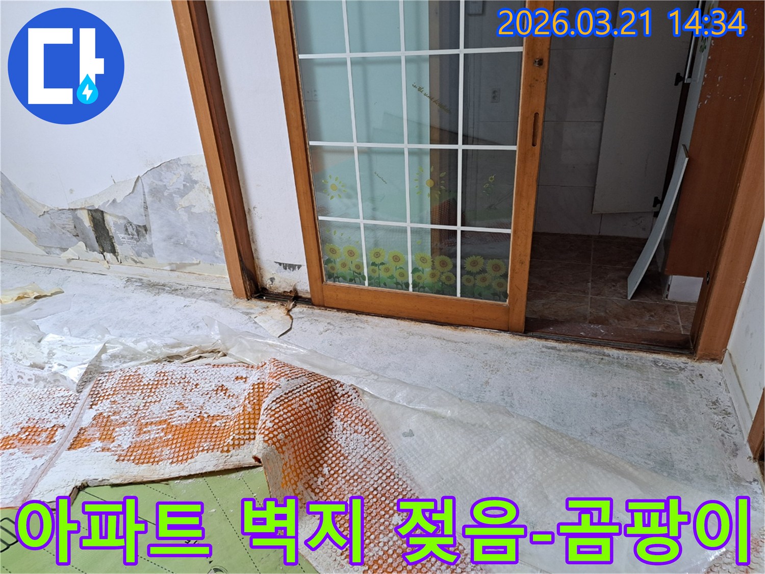 독산동 아파트 내부의-누수로 인해 젖고 곰팡이가 핀 벽면과-누수 해결을 위한 바닥 보양 작업 현장입니다.