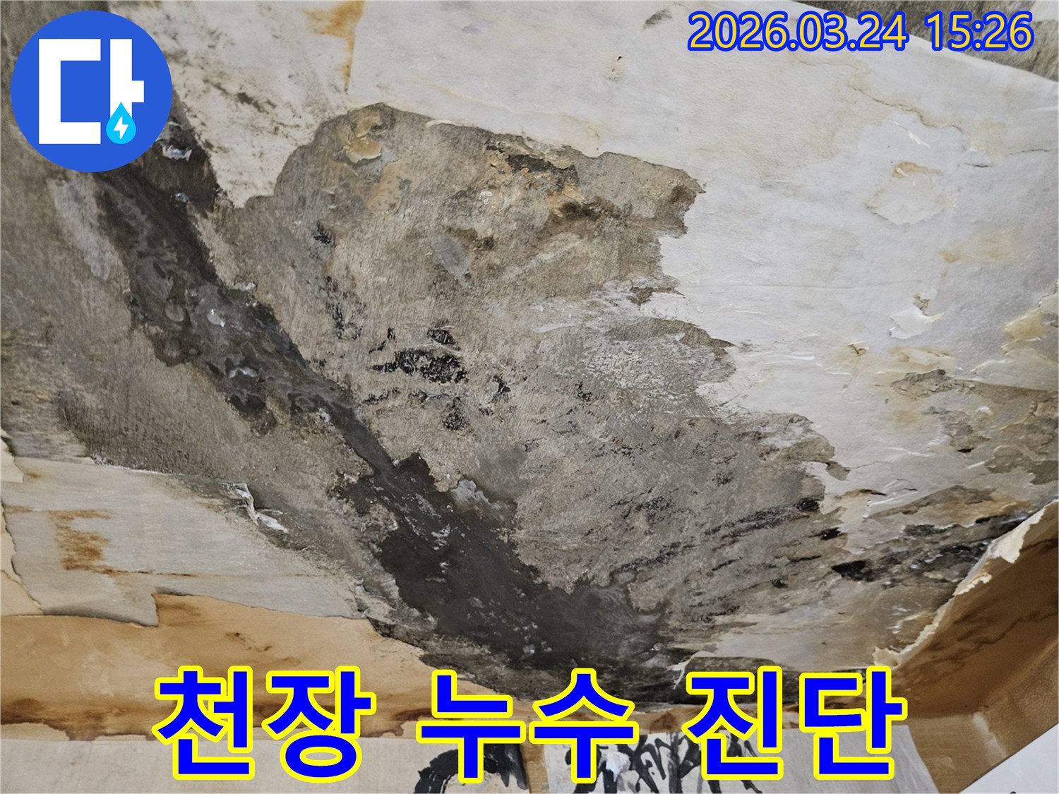 천장에서-물이-새어-벽지가-젖고-곰팡이가-피어난-심각한-누수-피해-현장입니다