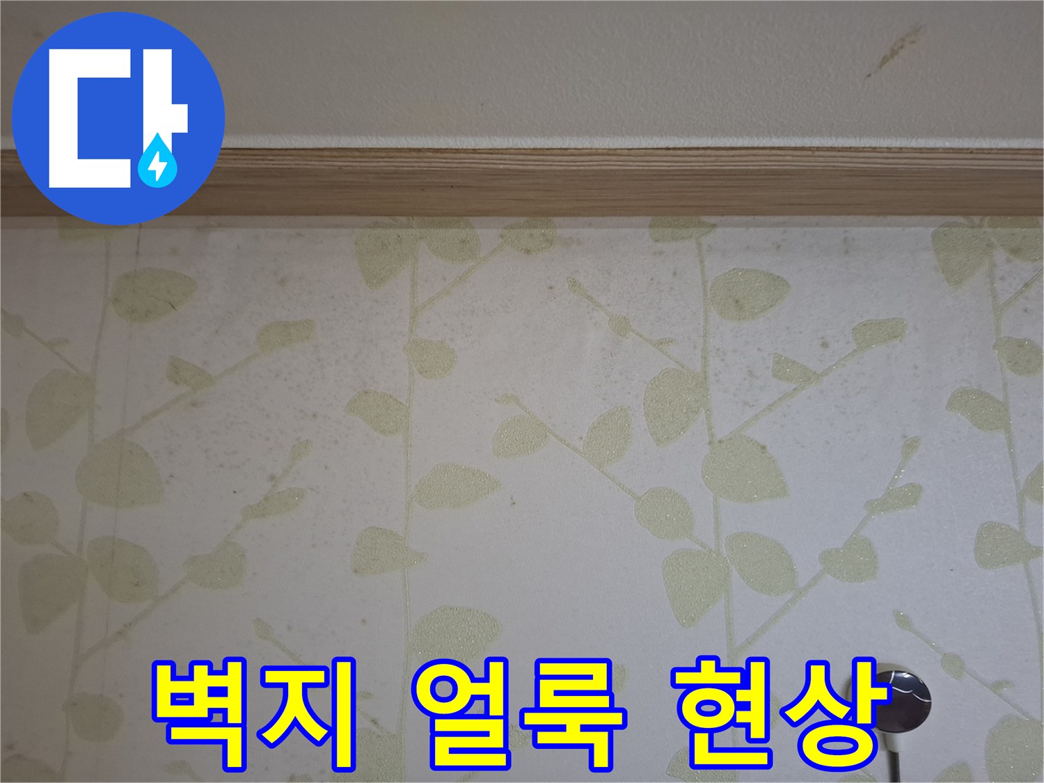 광주현장-벽지-얼룩과-곰팡이 흔적