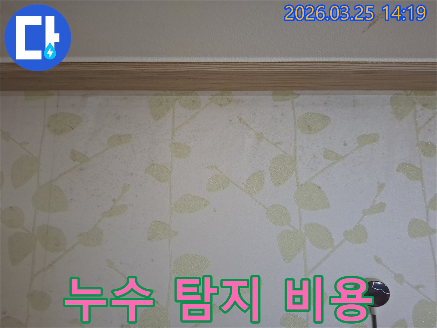 벽지-젖음-누수-탐지-비용-견적-문의-전문가와-상담하여-합리적인-선택