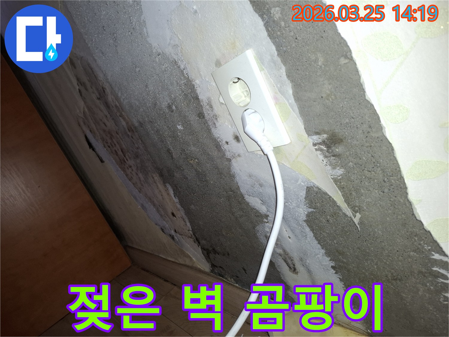 벽지가-젖어-떨어지고-콘크리트-벽에-곰팡이가-생긴-주택-누수-피해-모습