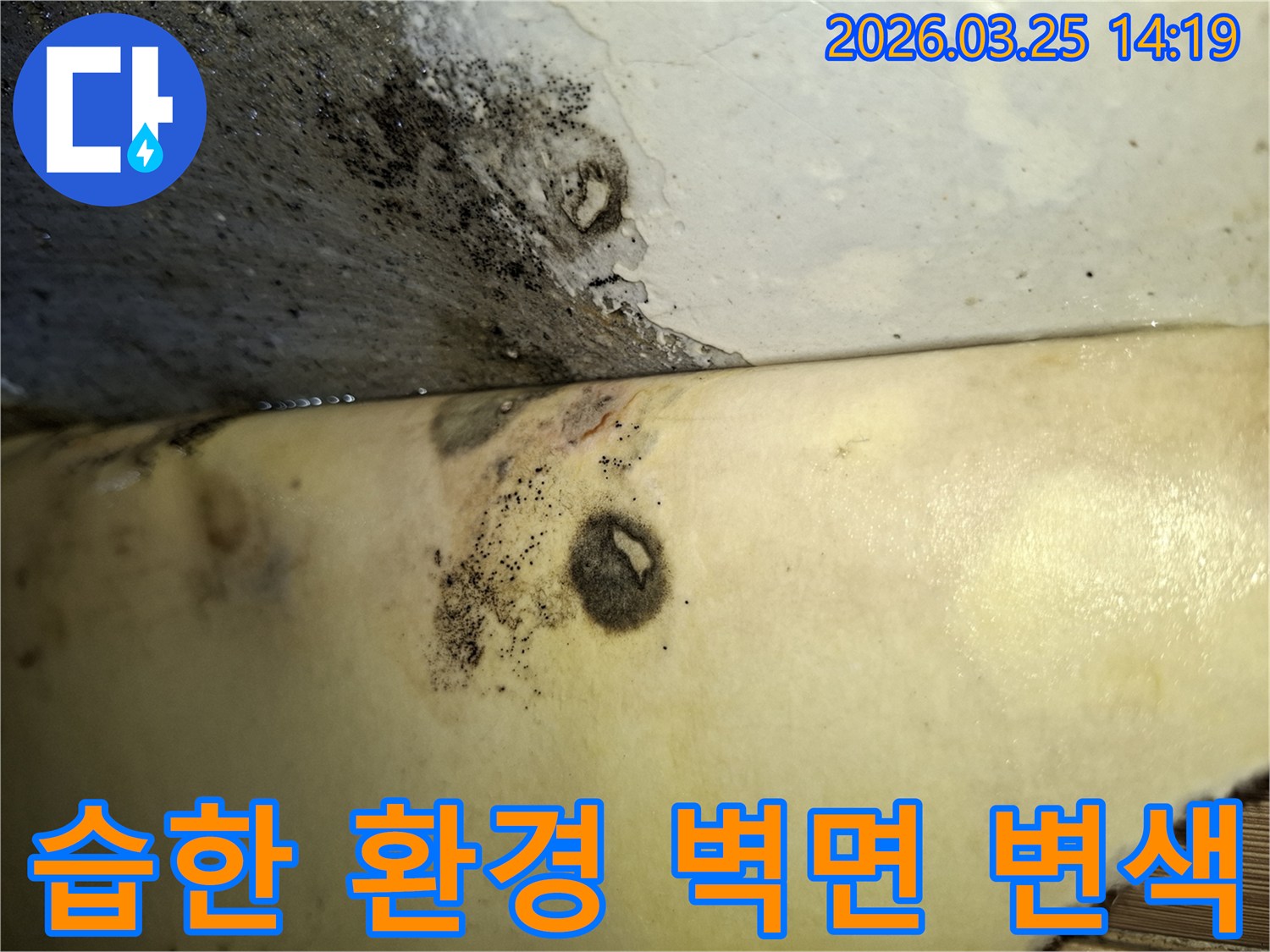 습한 환경과 누수가 복합적으로 작용하여-벽면에 심각한 곰팡이가 발생한 현장입니다.