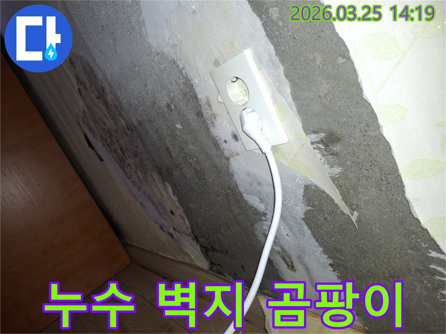 전기-콘센트-옆으로-물이-새어-벽이-손상되고-곰팡이가-피어난-심각한-누수-상황