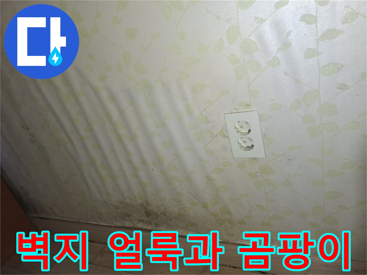 풀잎무늬-벽지에-번진-물자국-및-곰팡이