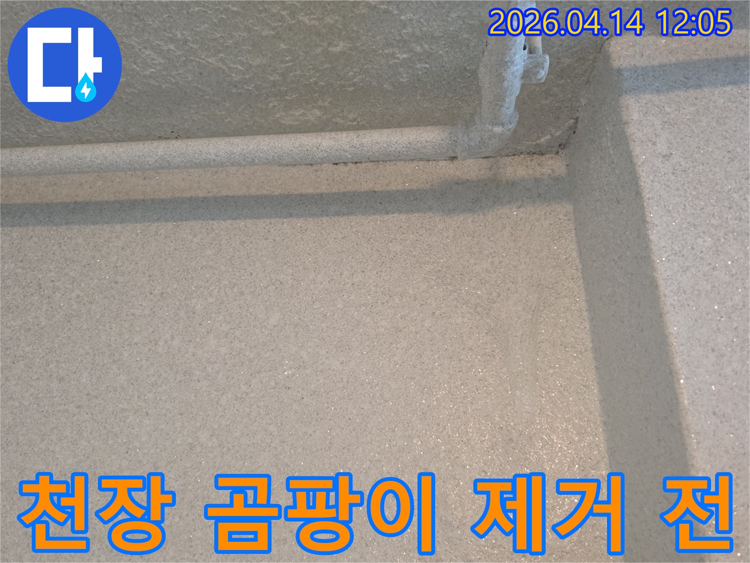 천장 모서리와 배관 주변에 넓게 퍼진 곰팡이-누수로 인한 습기가 원인입니다
