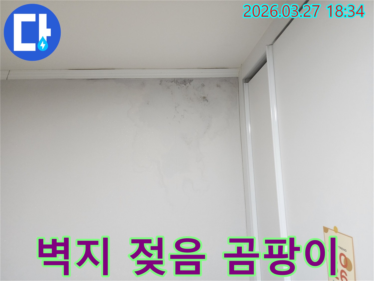 벽지-상단에-누수로-인해-젖어-있고-곰팡이가-피어난-모습을-촬영한-사진입니다